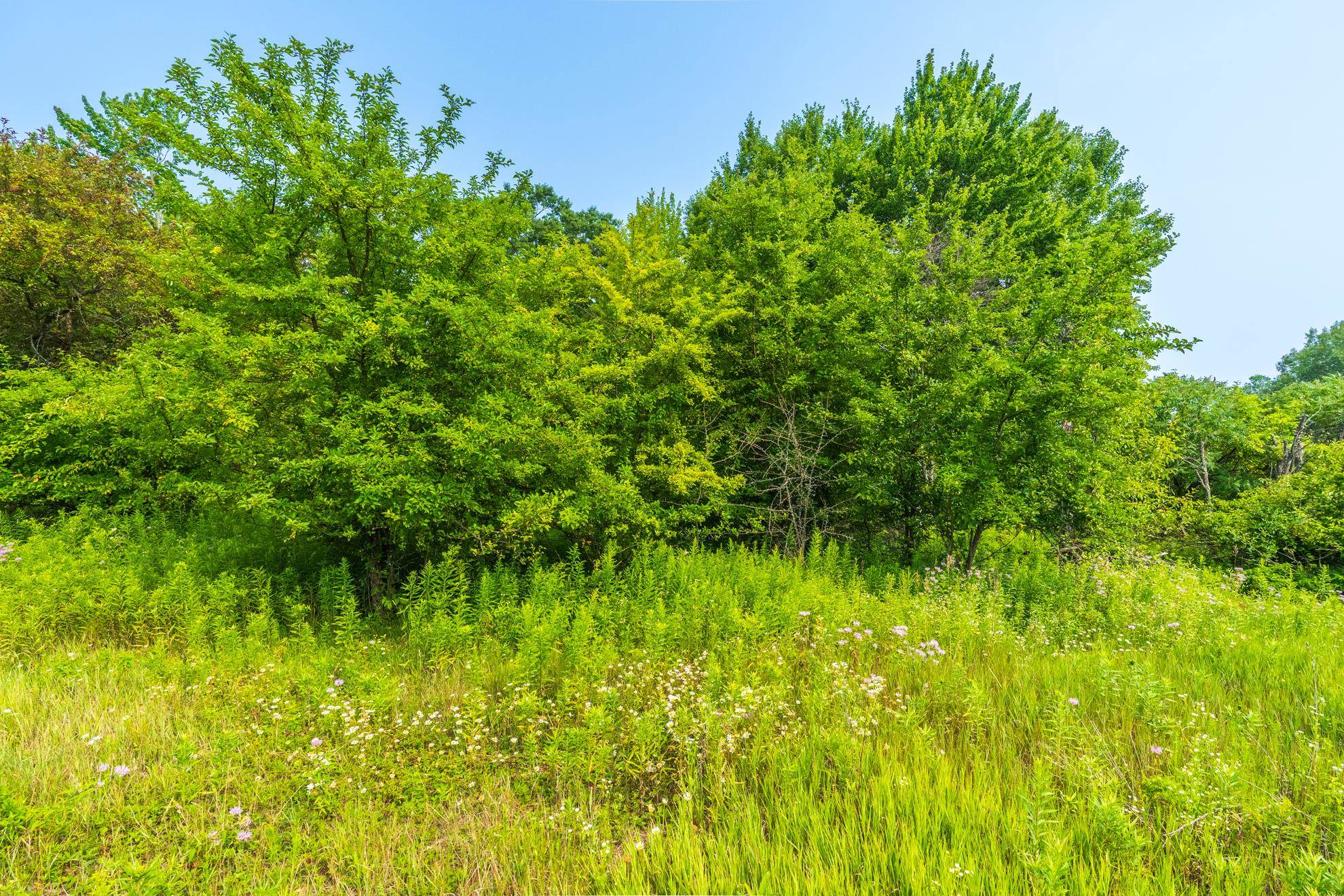 9404 Camp Phillips Road Property Photo 17