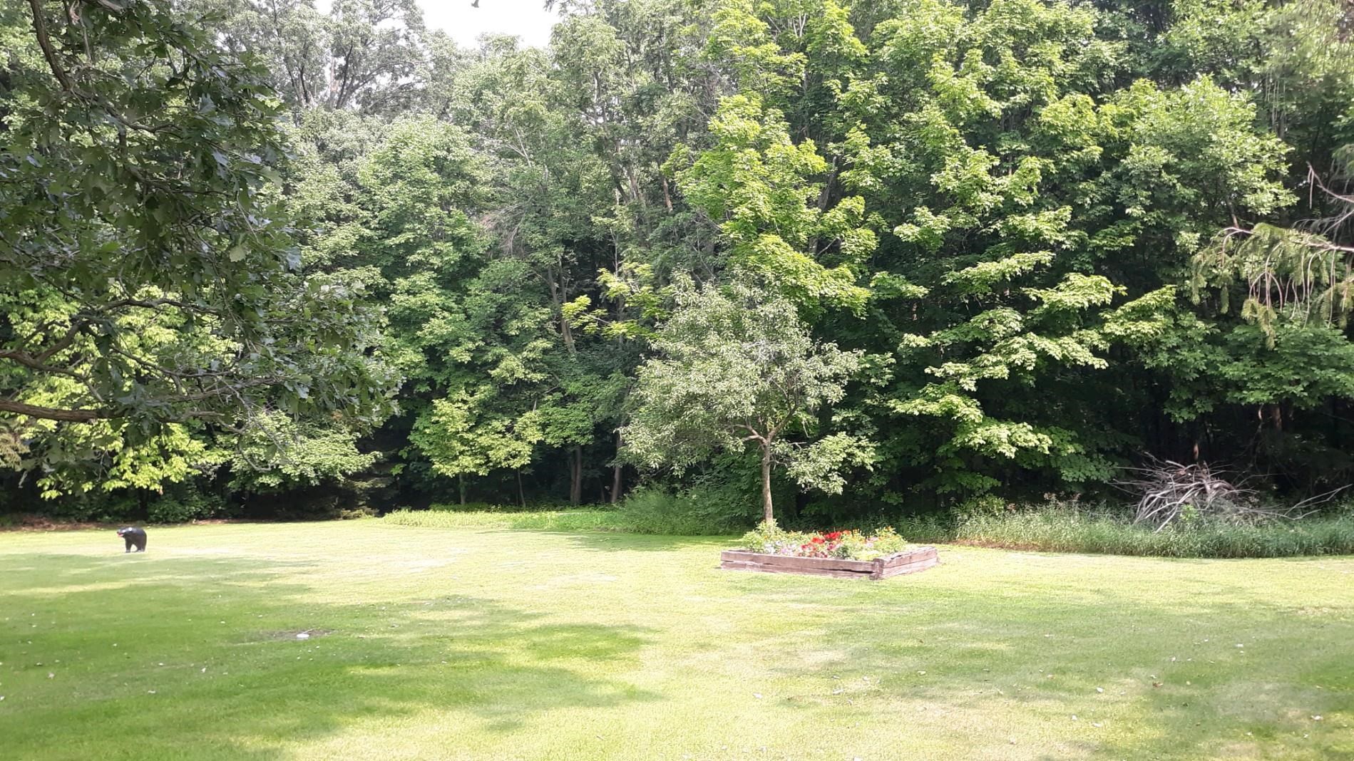 14211 N State Highway 73 Property Photo 5