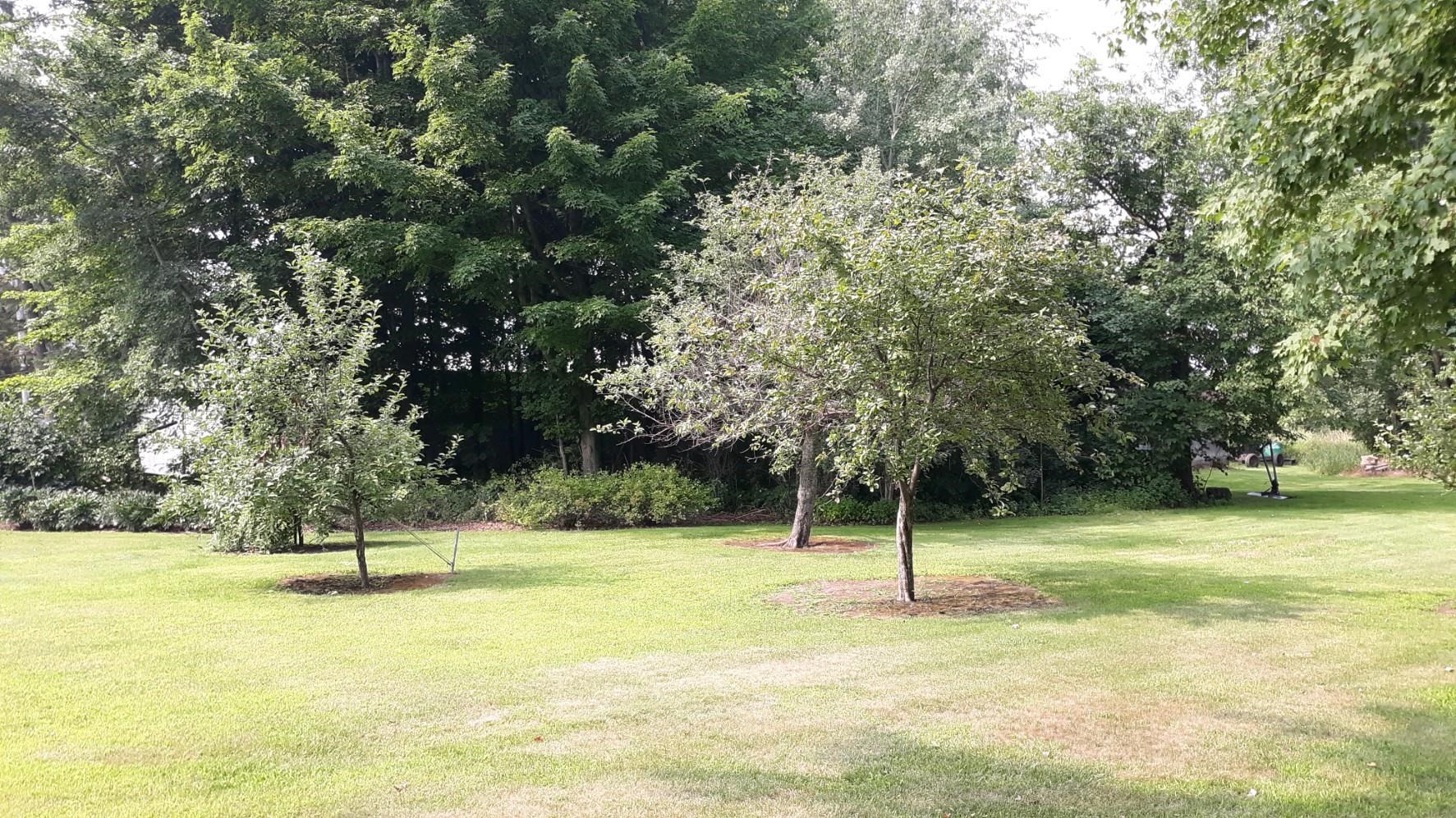 14211 N State Highway 73 Property Photo 12