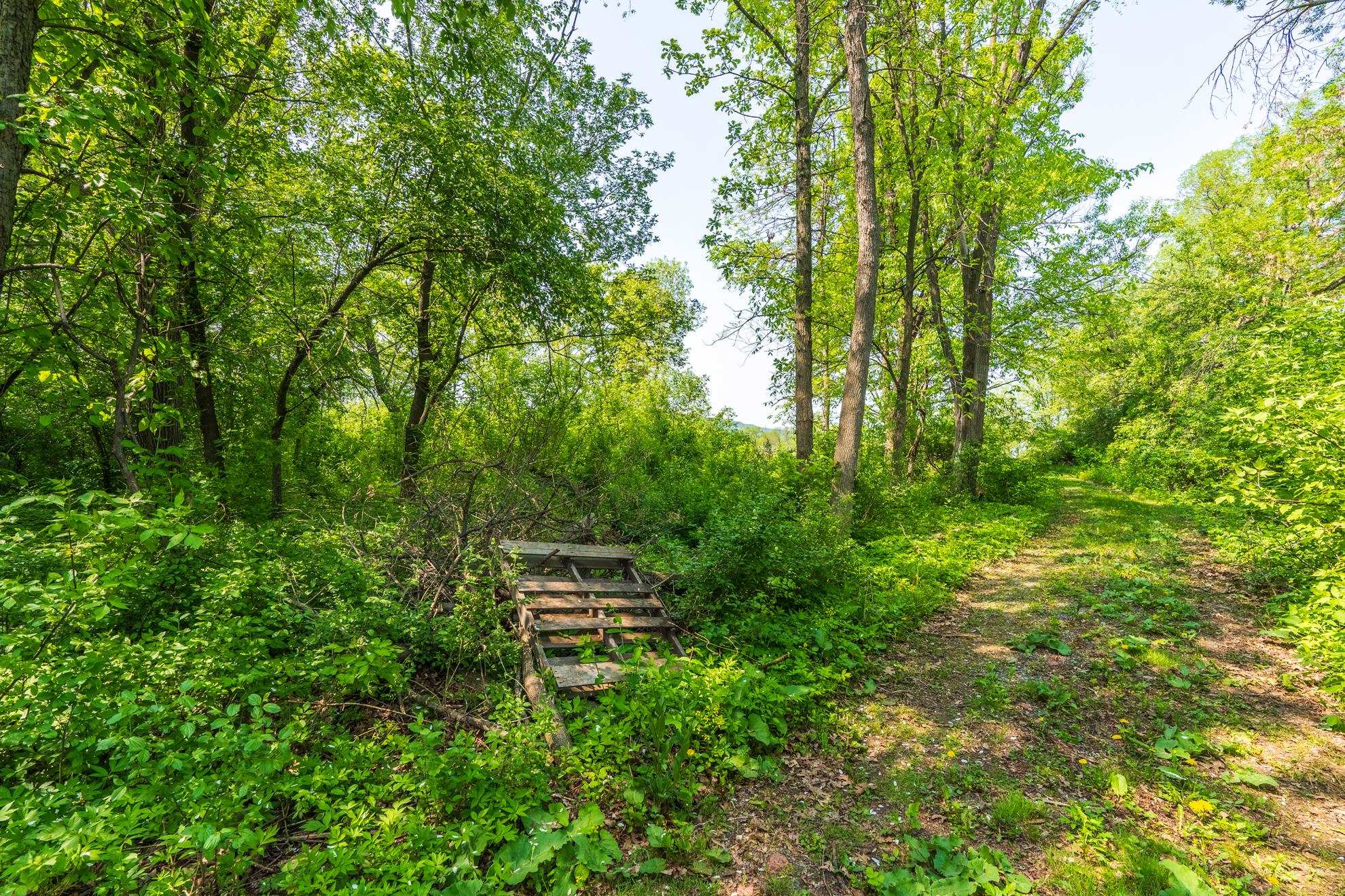 1601 Chellis Street Property Photo 40