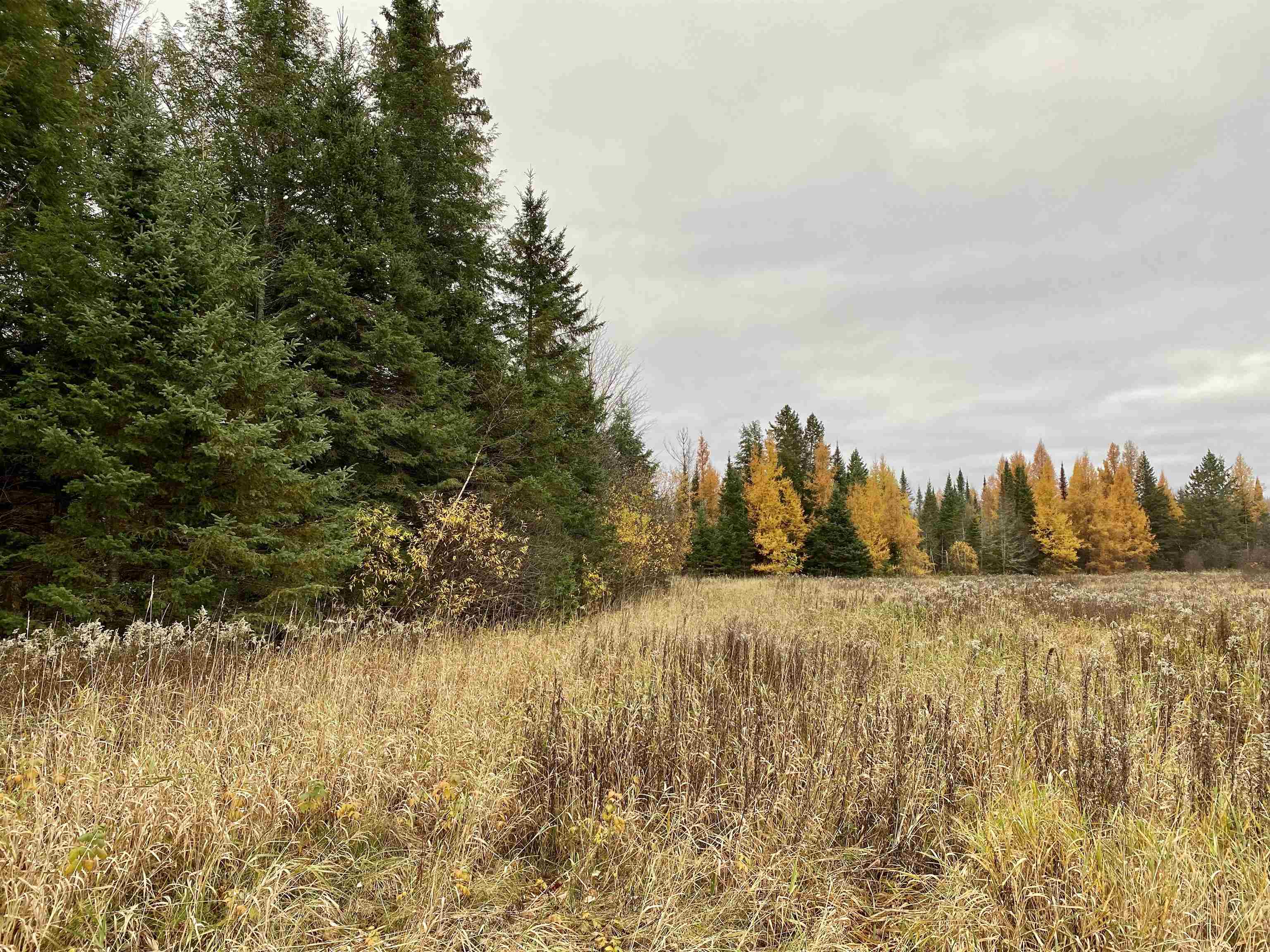 Bergland Road Property Photo 3