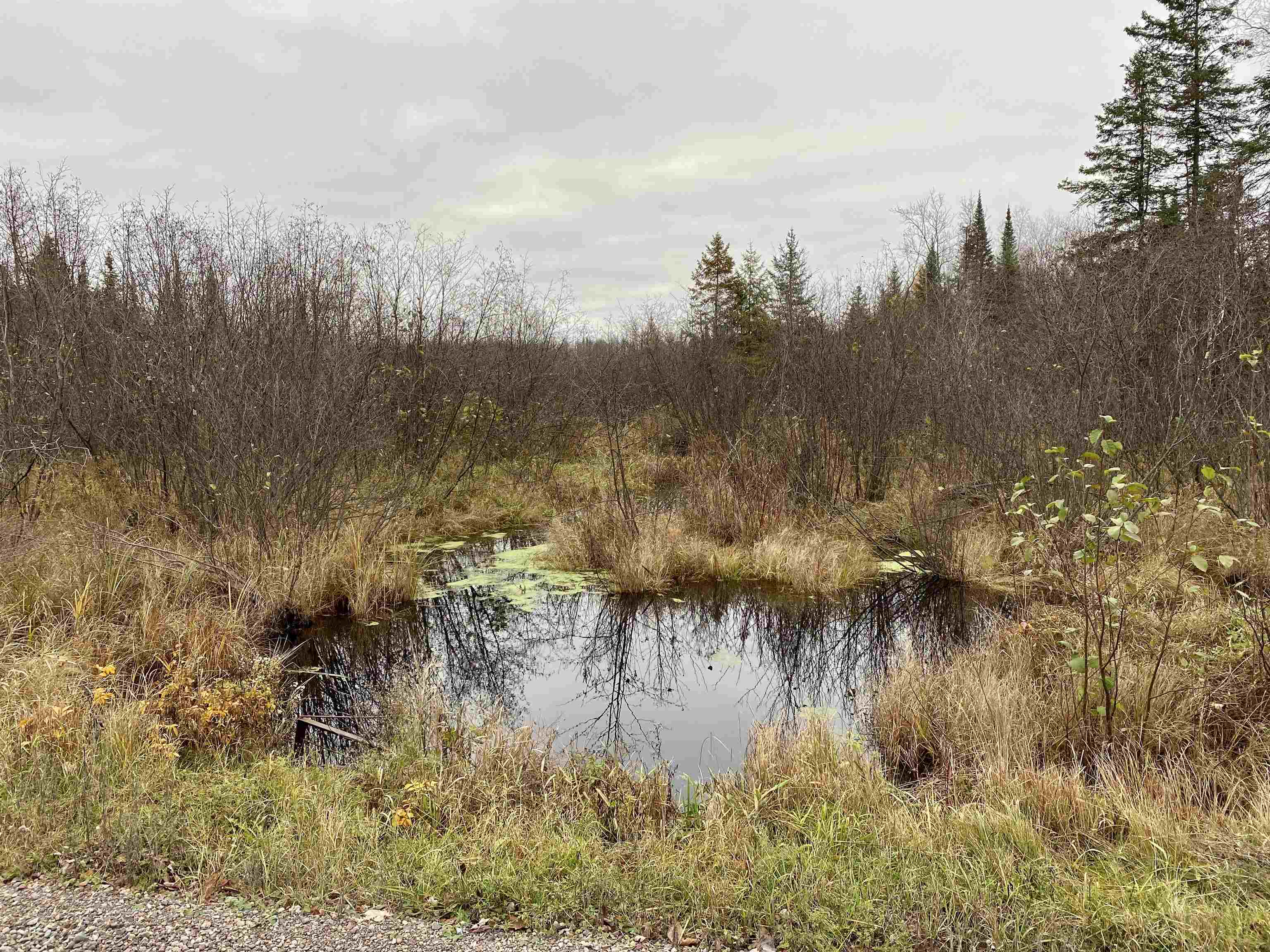 Bergland Road Property Photo 4