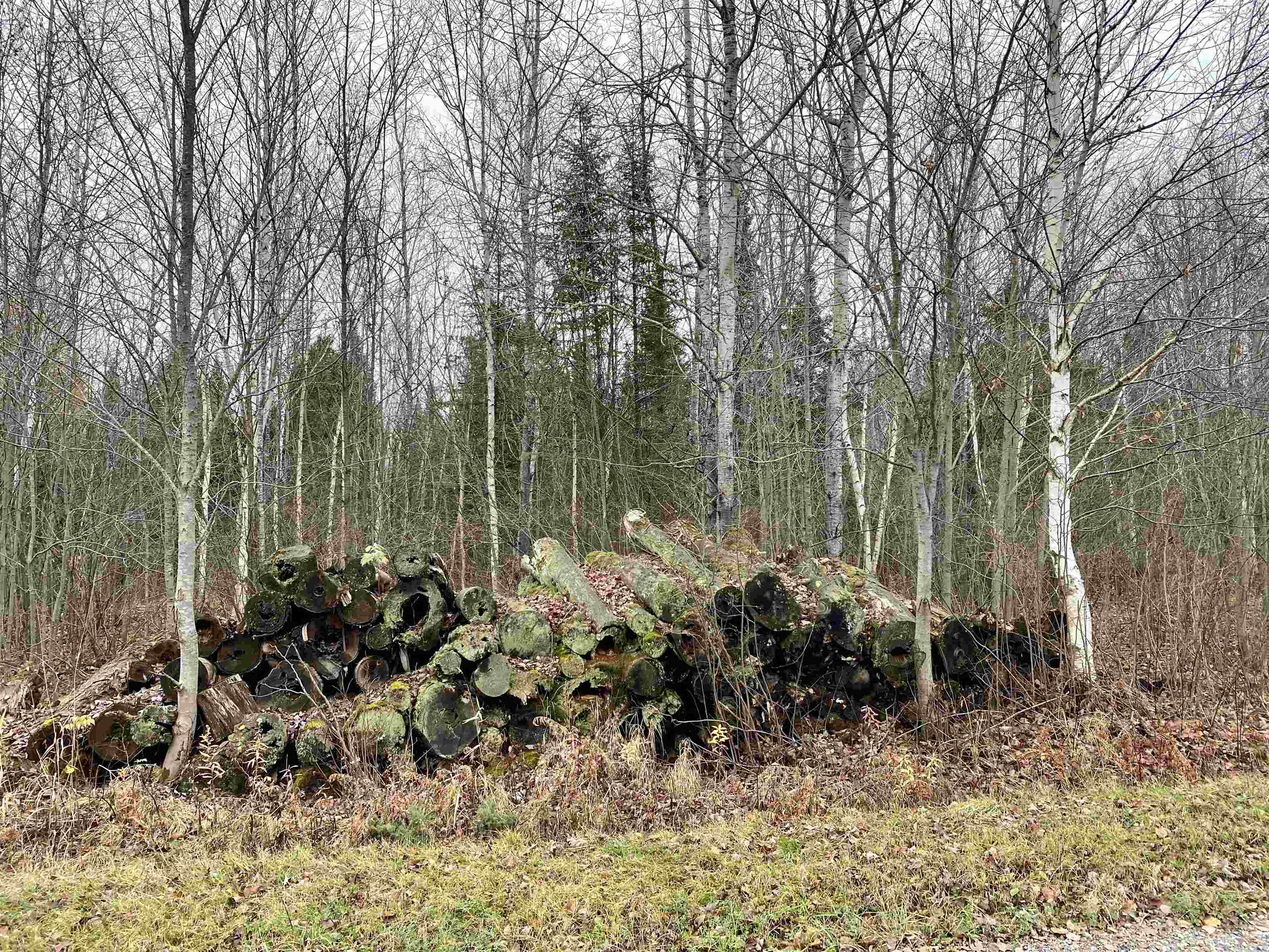 Bergland Road Property Photo 5