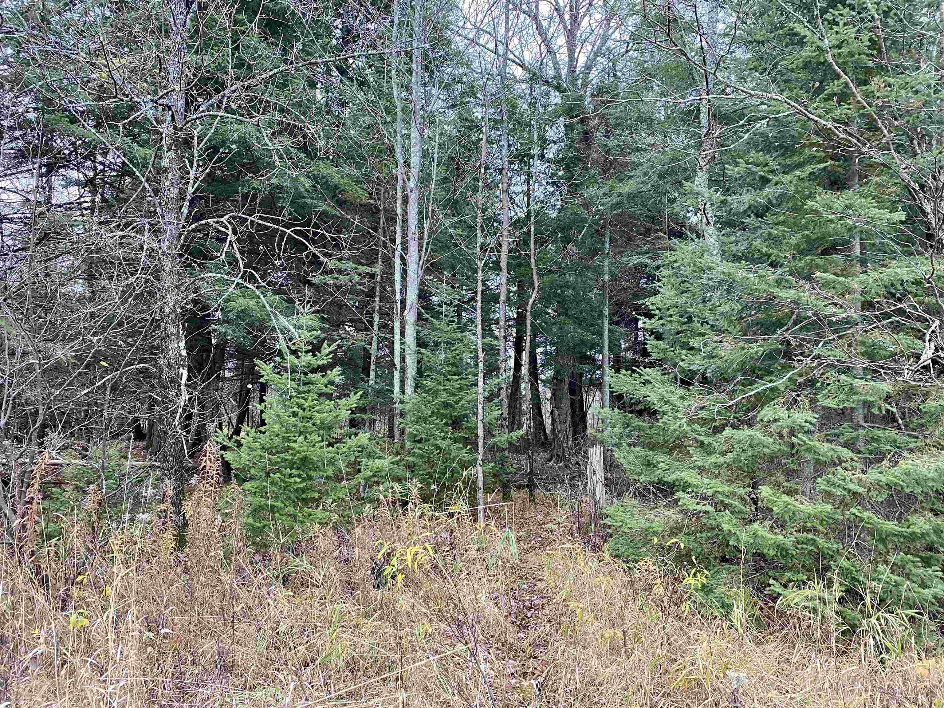 Bergland Road Property Photo 9