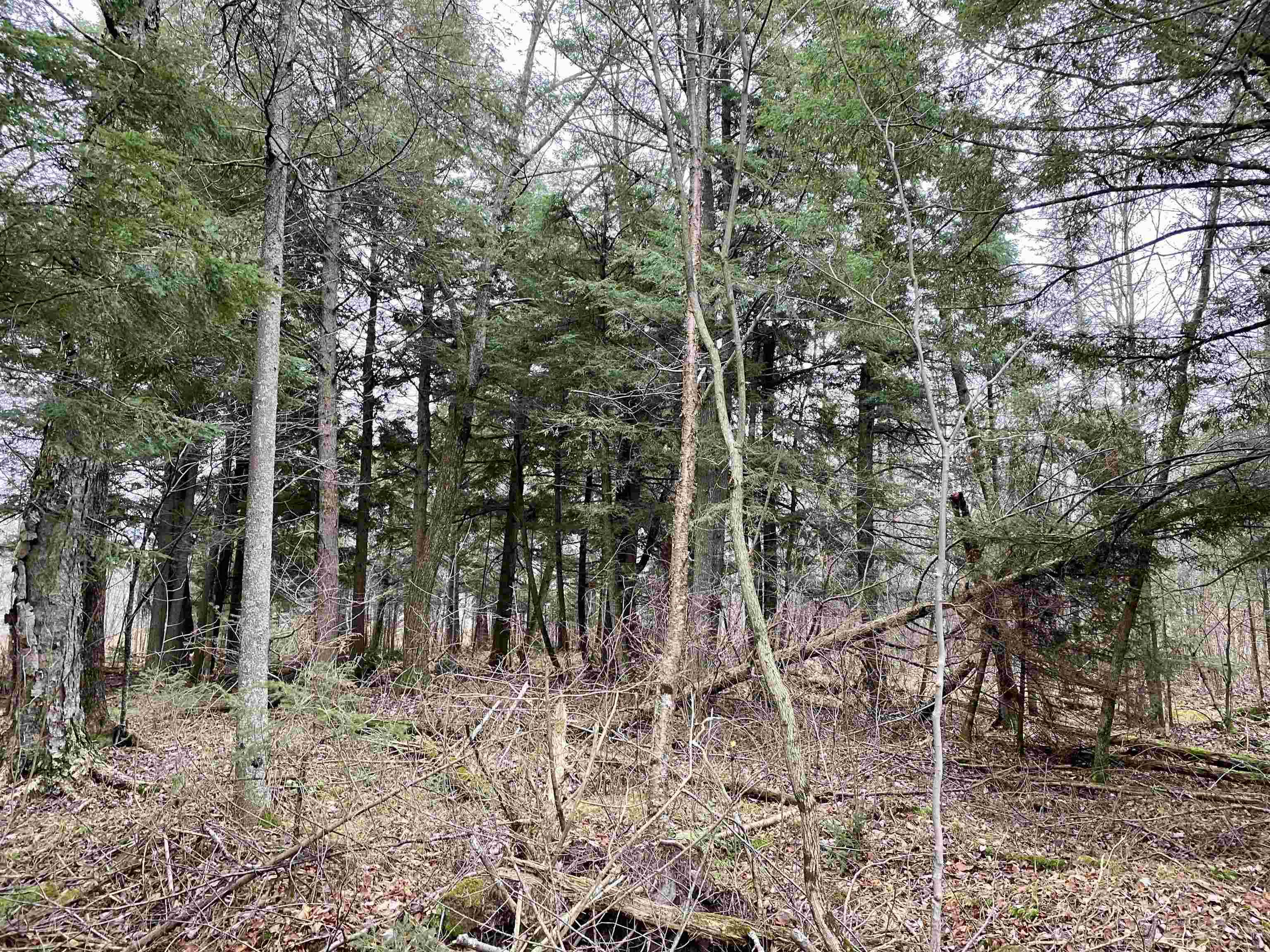 Bergland Road Property Photo 10