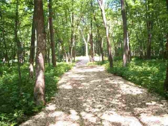 2390 Timber Ridge Drive Property Photo 5