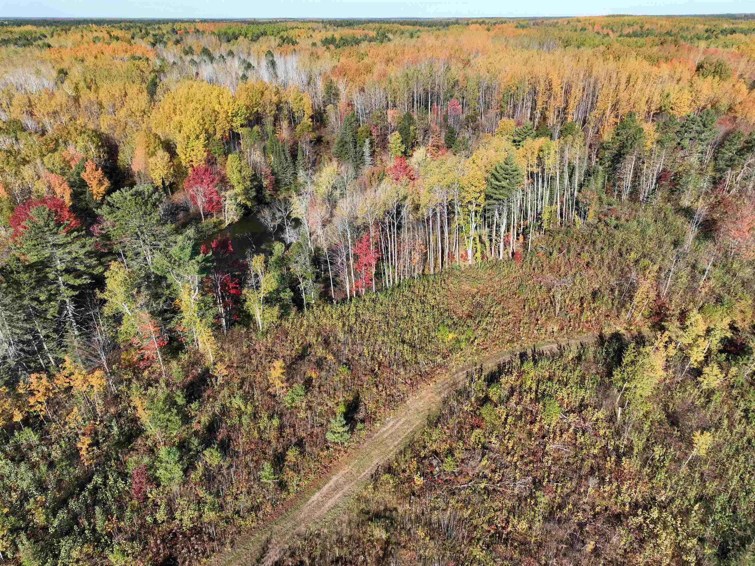 Near Rocky Run Road Property Photo 6
