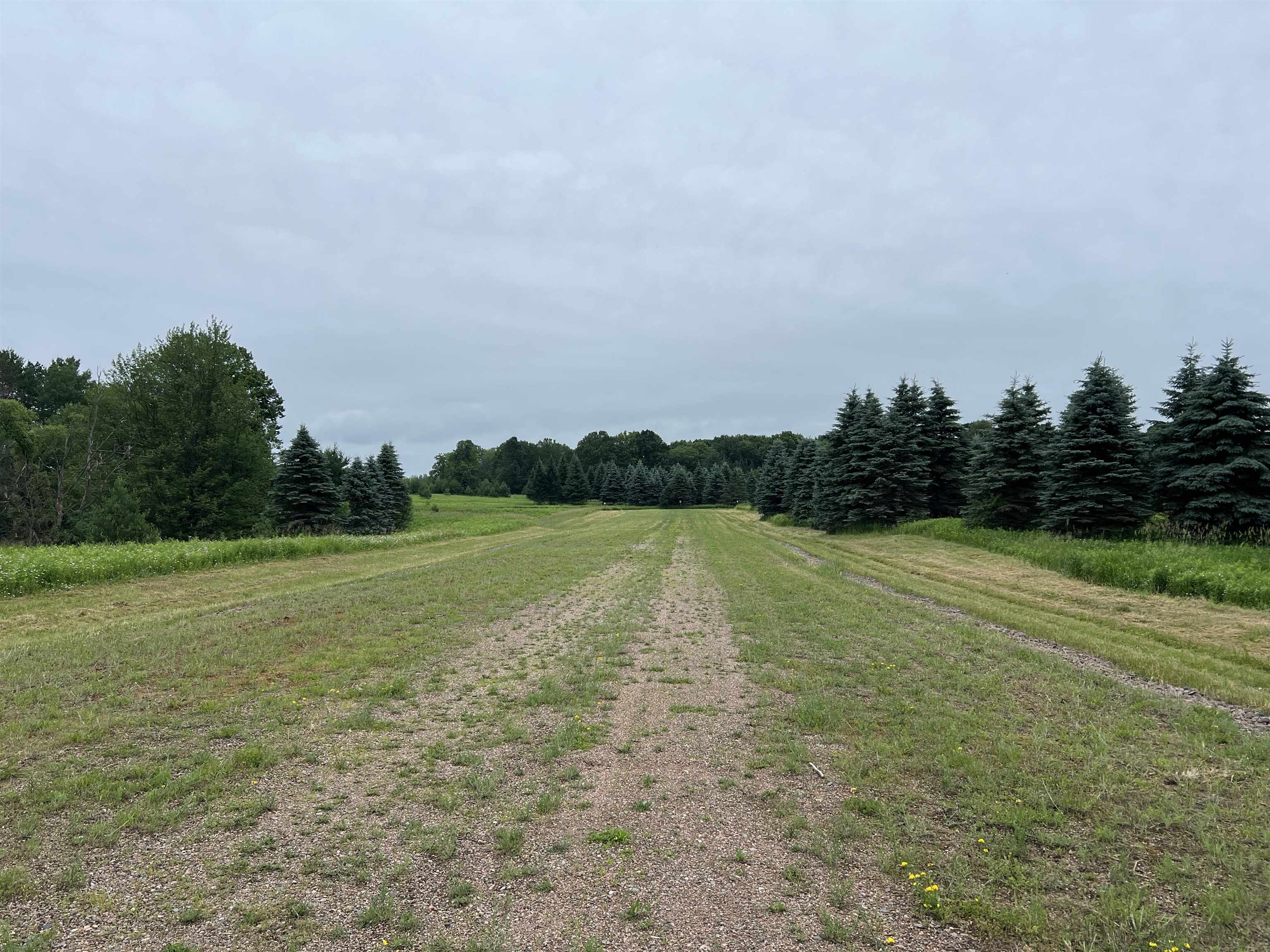 Lot 11 State Highway 45 Property Photo 3