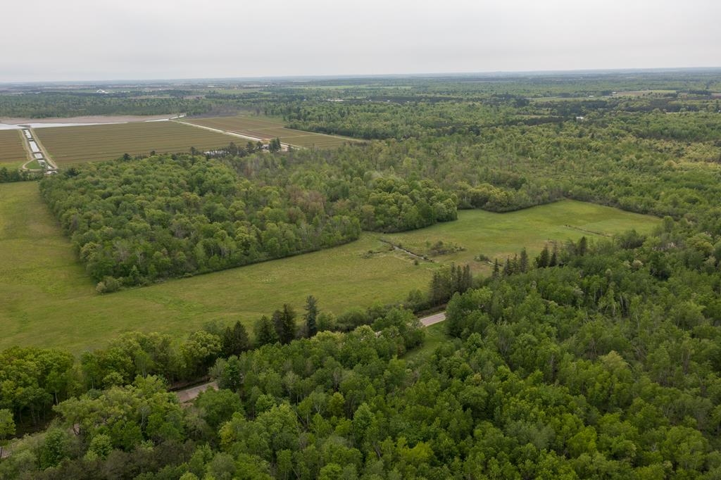 Lot 2 80th Street North Property Photo 4