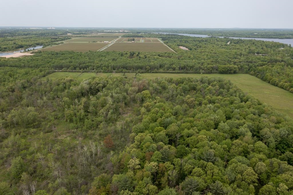 Lot 2 80th Street North Property Photo 7