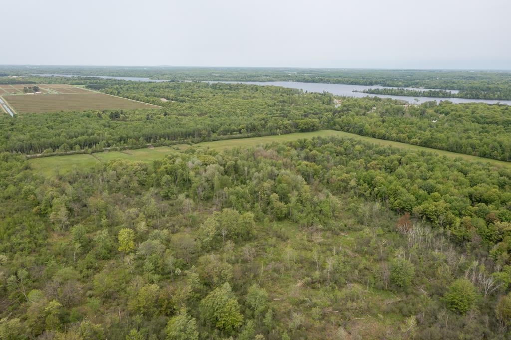 Lot 2 80th Street North Property Photo 8
