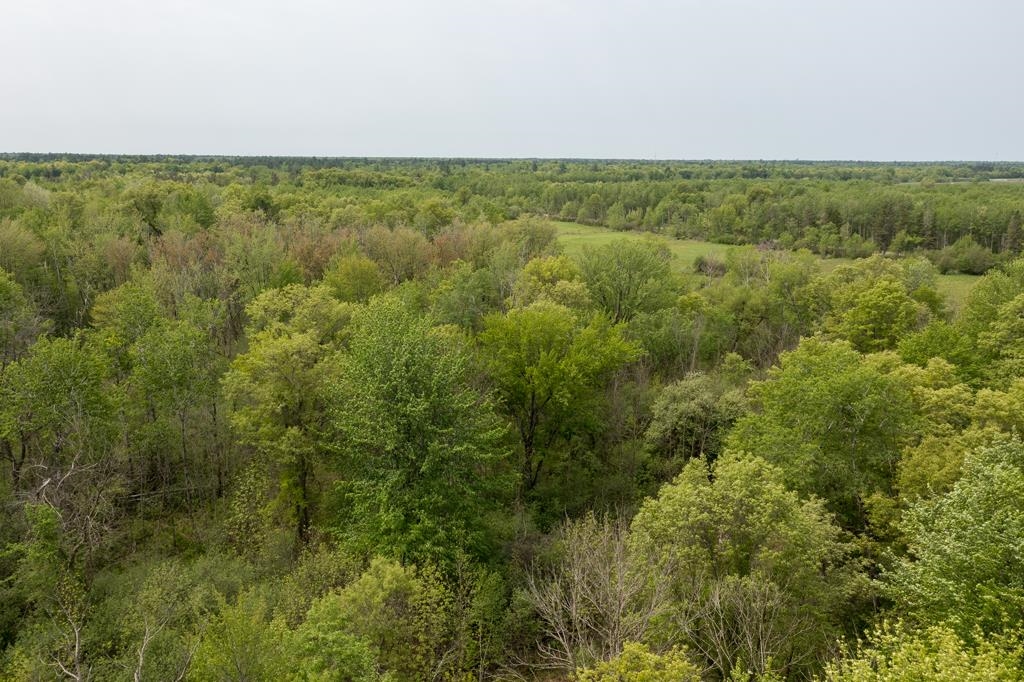 Lot 2 80th Street North Property Photo 14