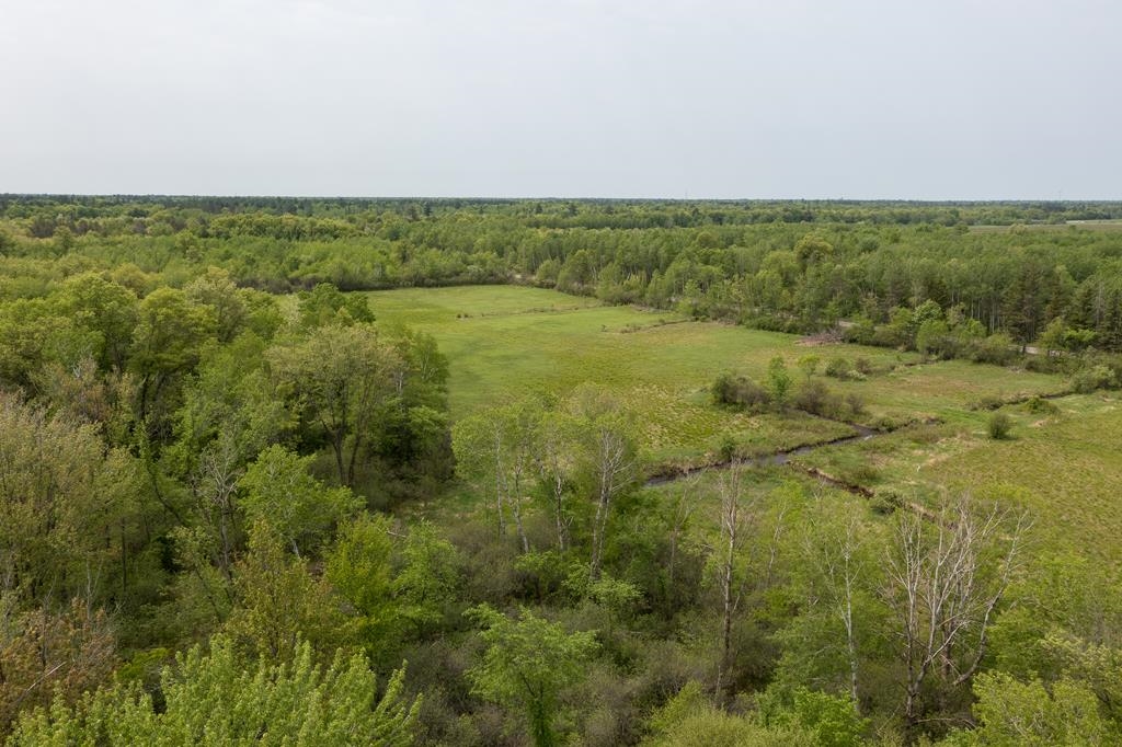 Lot 2 80th Street North Property Photo 15