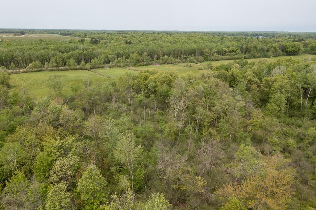 Lot 2 80th Street North Property Photo 16
