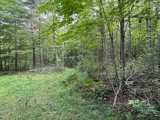 000 Dahl Road Property Photo 19