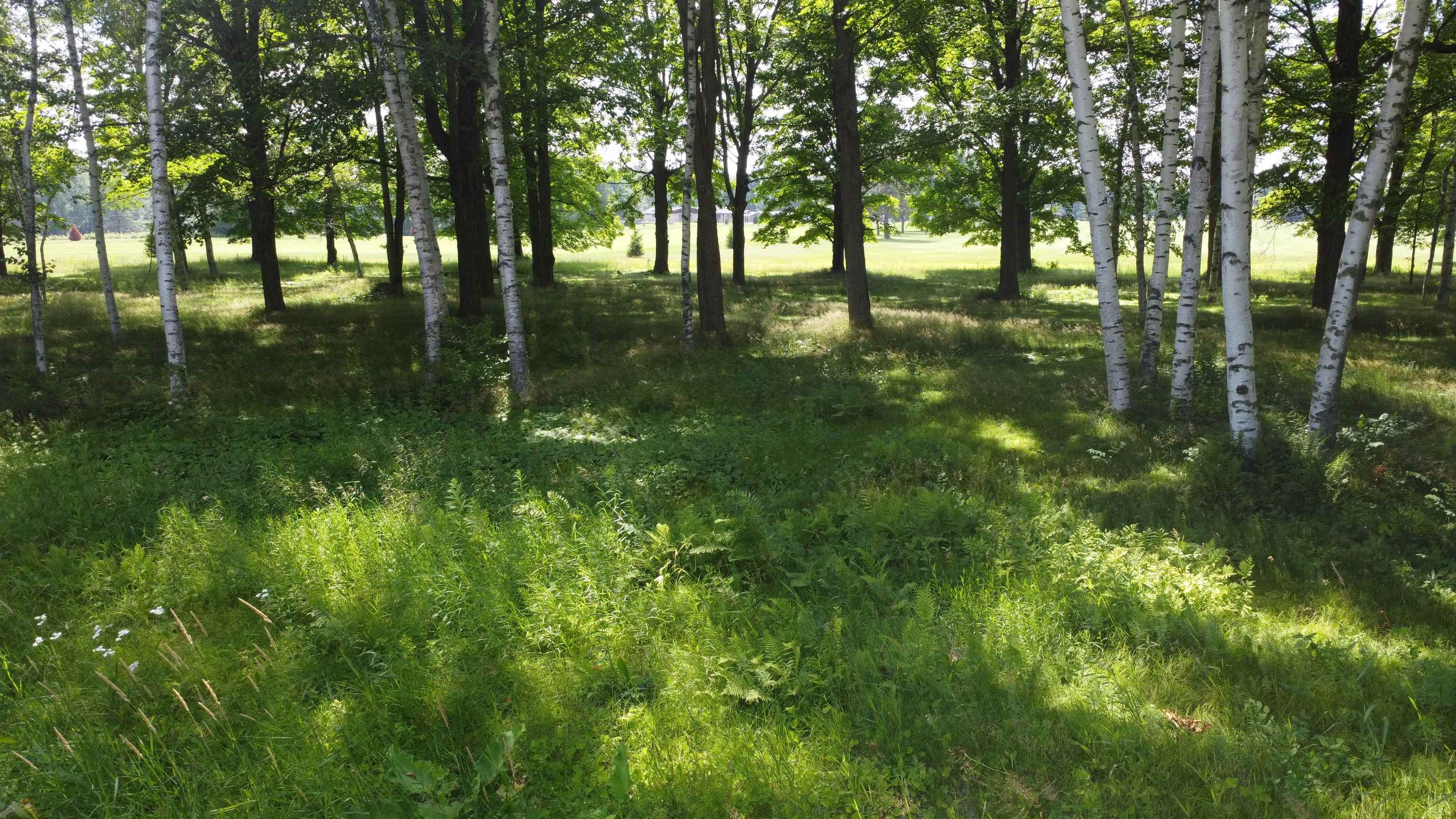 Lot 12 Hunter Circle Property Photo 2