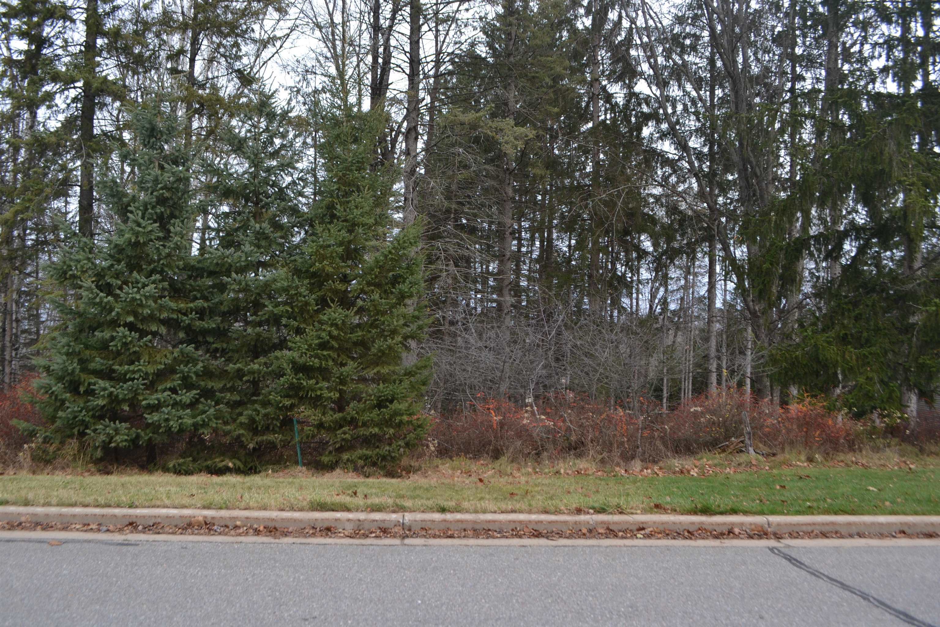 Lot #24 Deer Tail Lane Property Photo 2