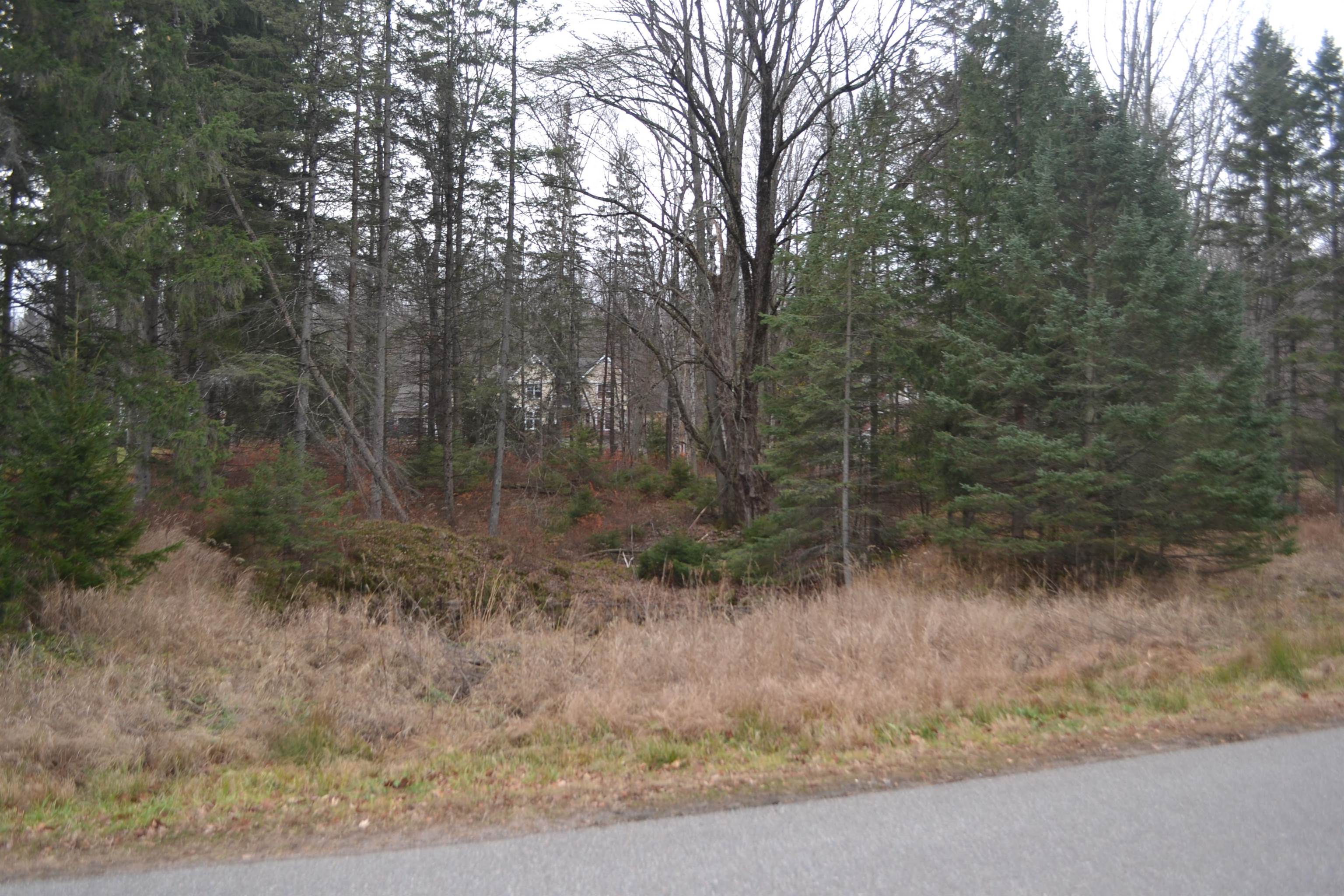 Lot #24 Deer Tail Lane Property Photo 3