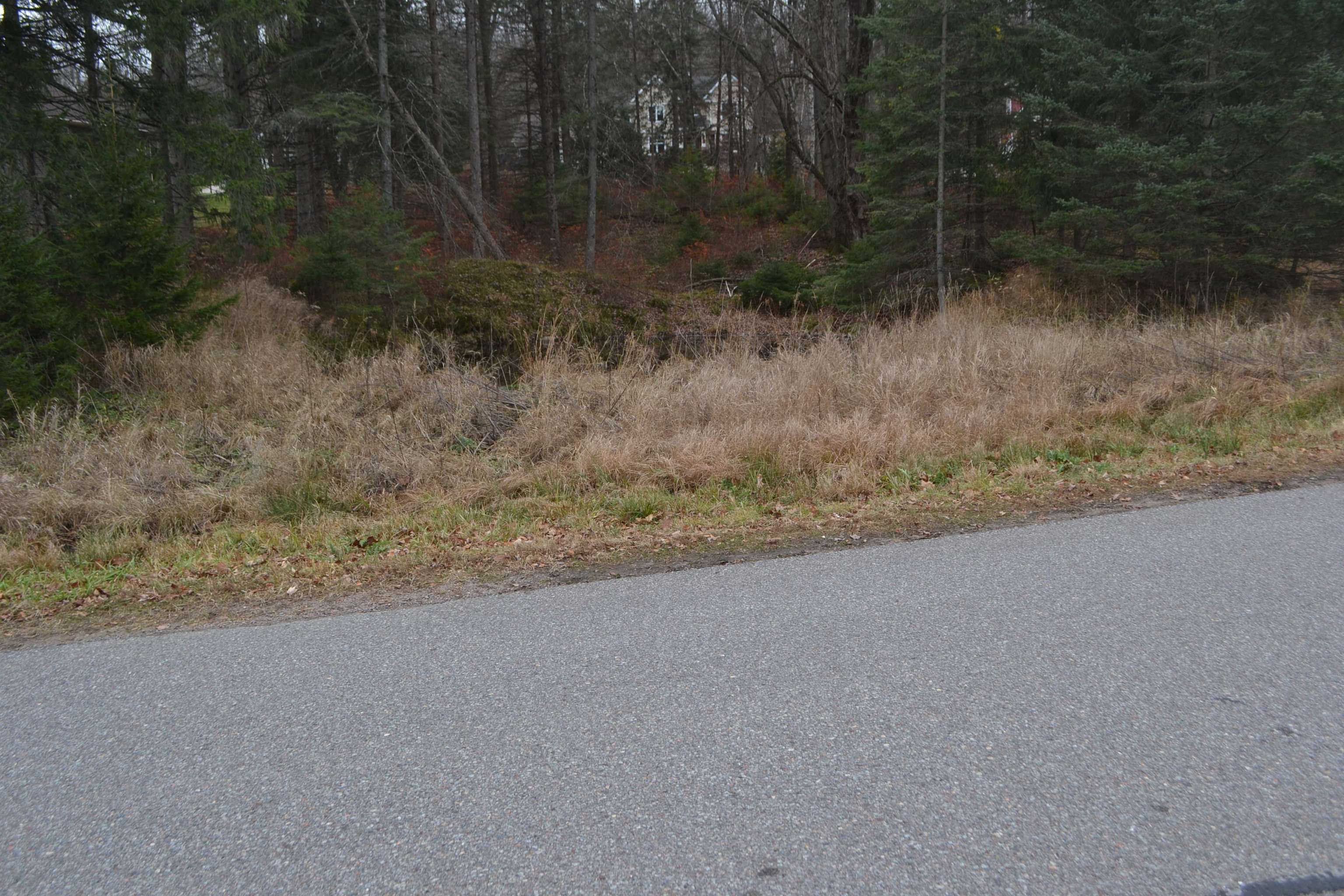 Lot #24 Deer Tail Lane Property Photo 4
