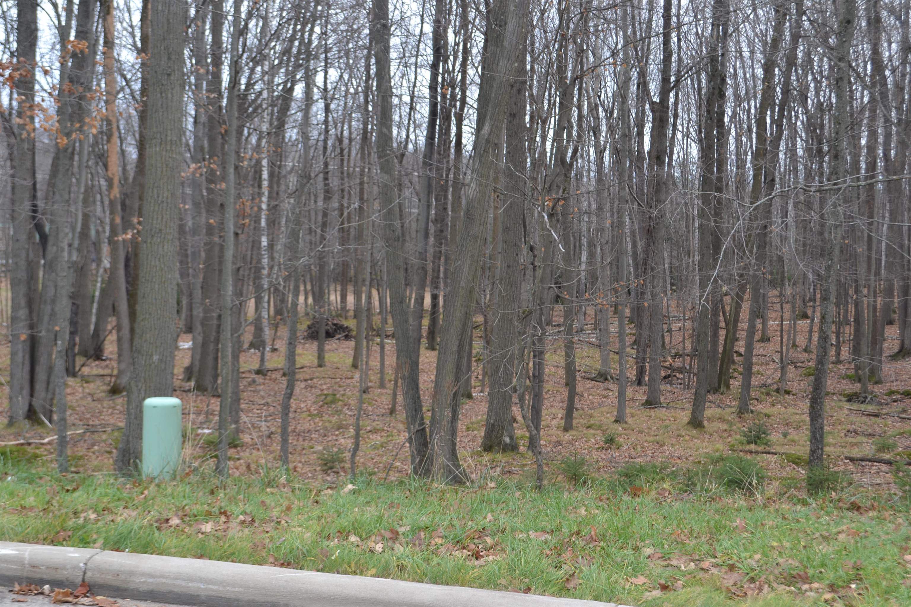 Lot #33 Buck Wood Lane Property Photo 2