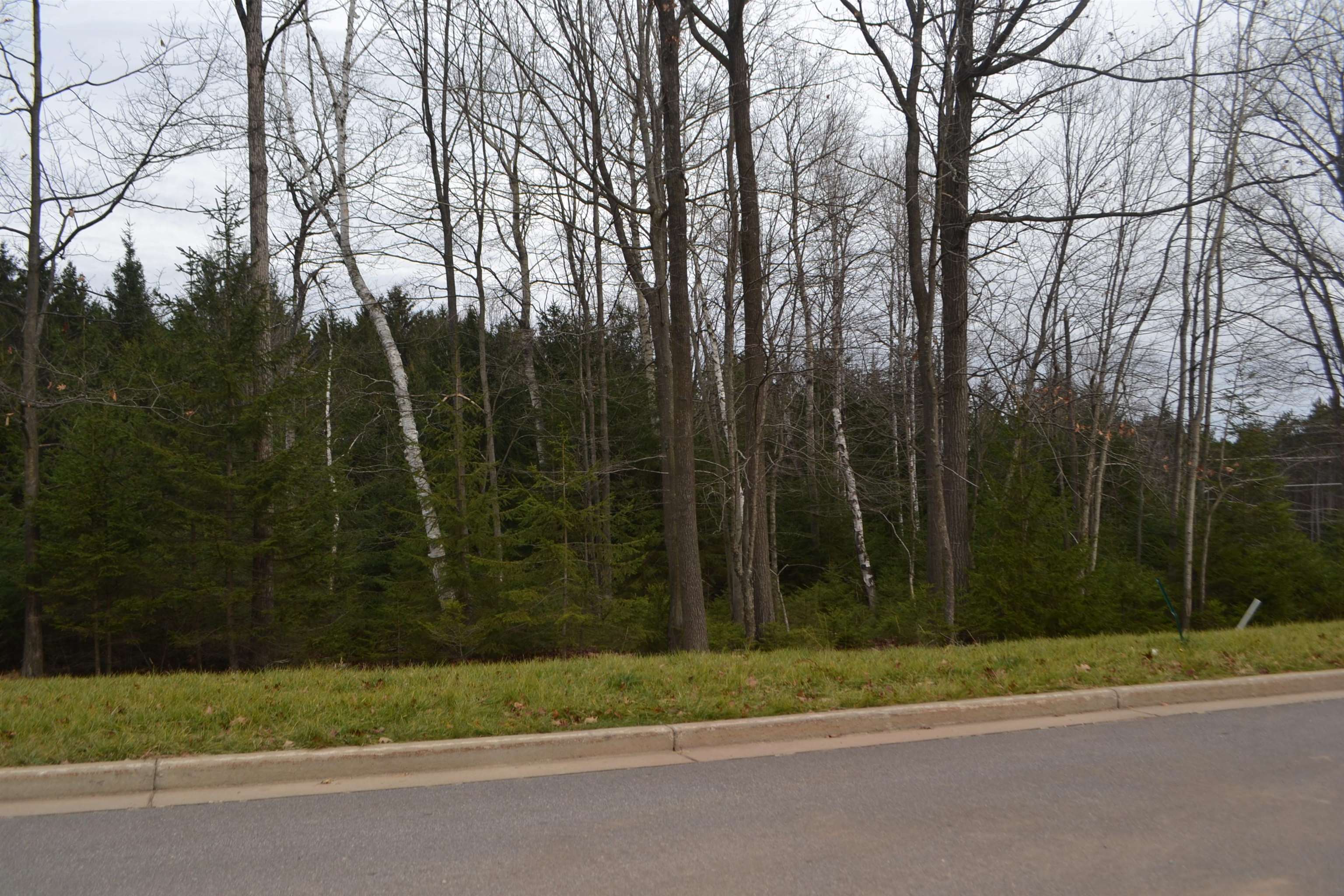Lot #35 Buck Wood Lane Property Photo 2