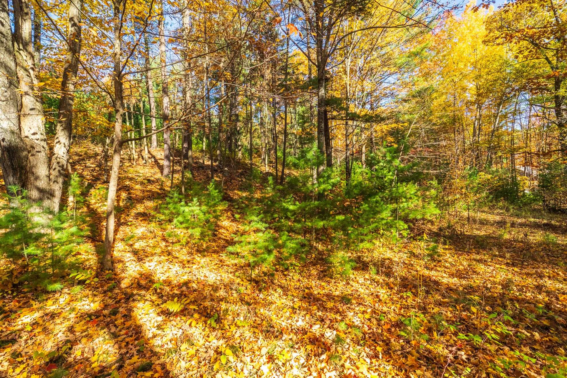 212 Windtree Drive Property Photo 16