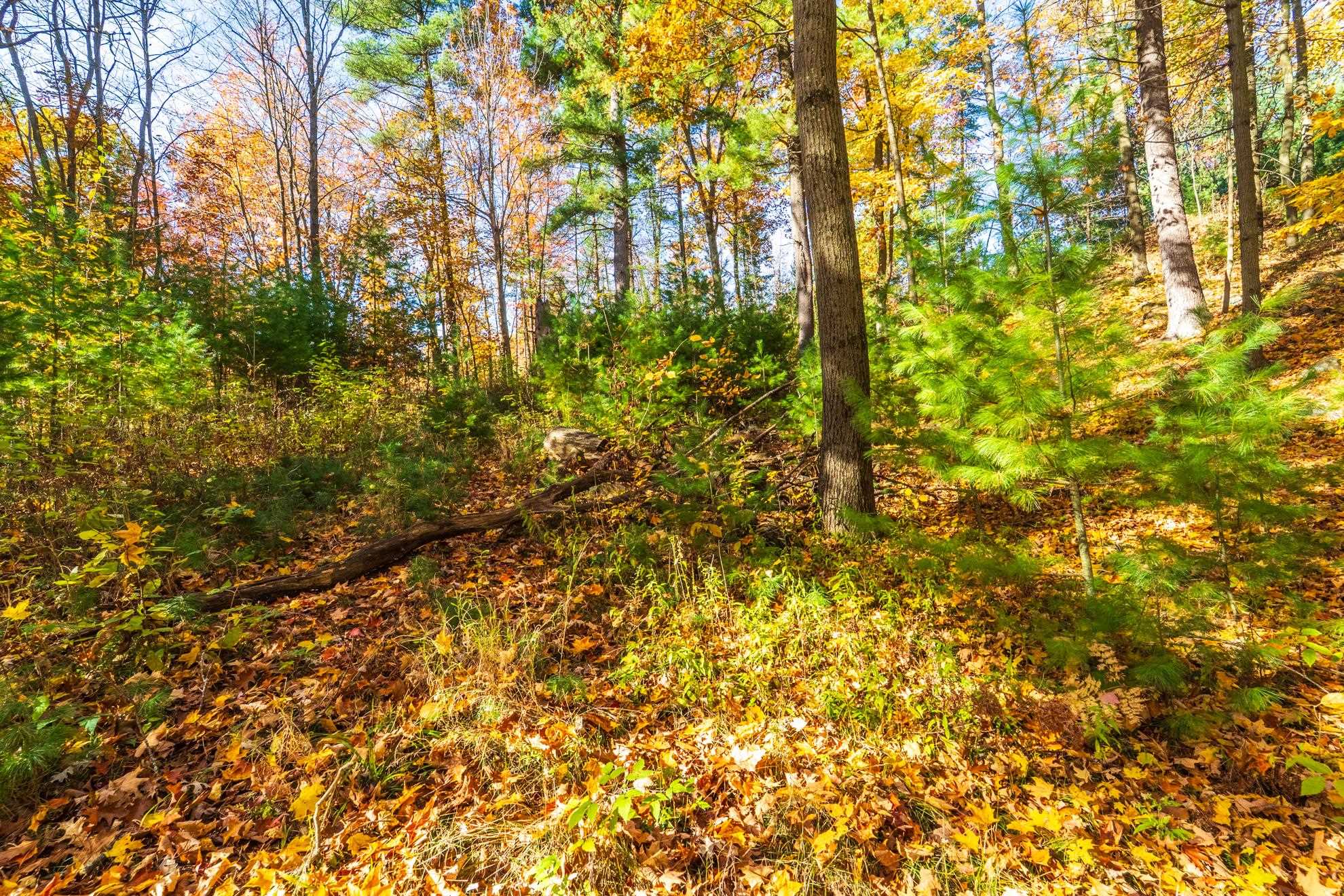 212 Windtree Drive Property Photo 17