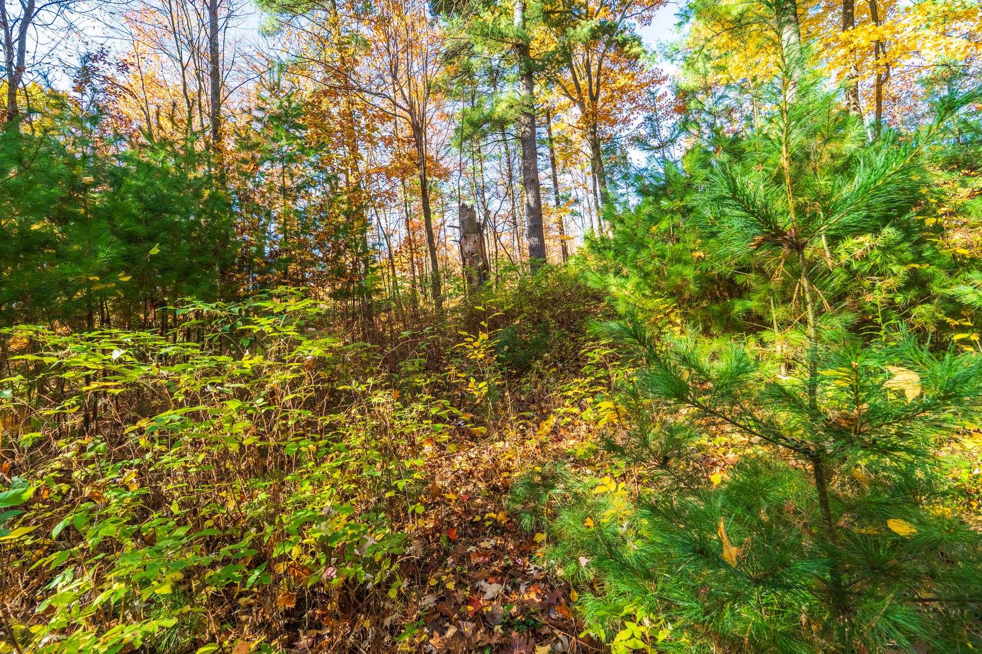 212 Windtree Drive Property Photo 18