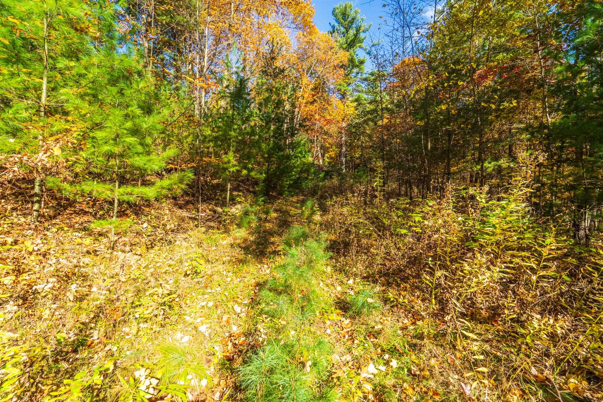 212 Windtree Drive Property Photo 23
