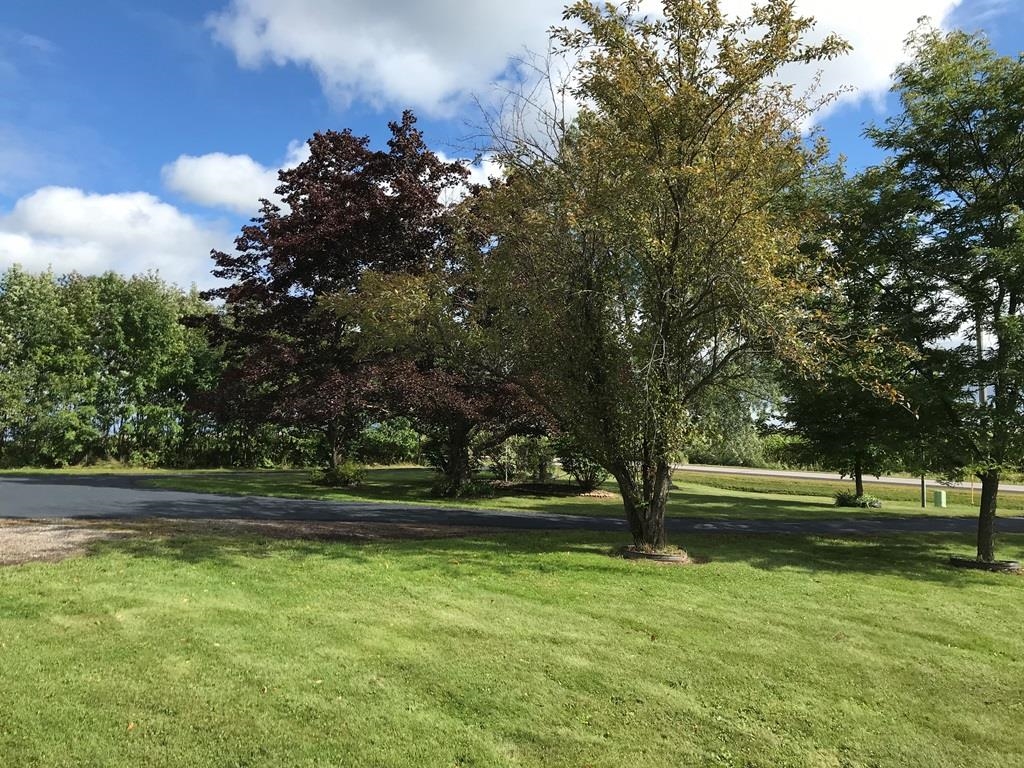 137454 Stettin Drive Property Photo 25