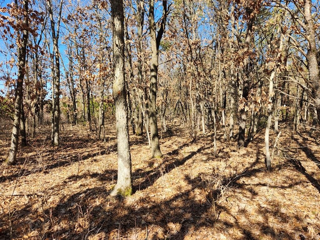 Koval Road Property Photo 2
