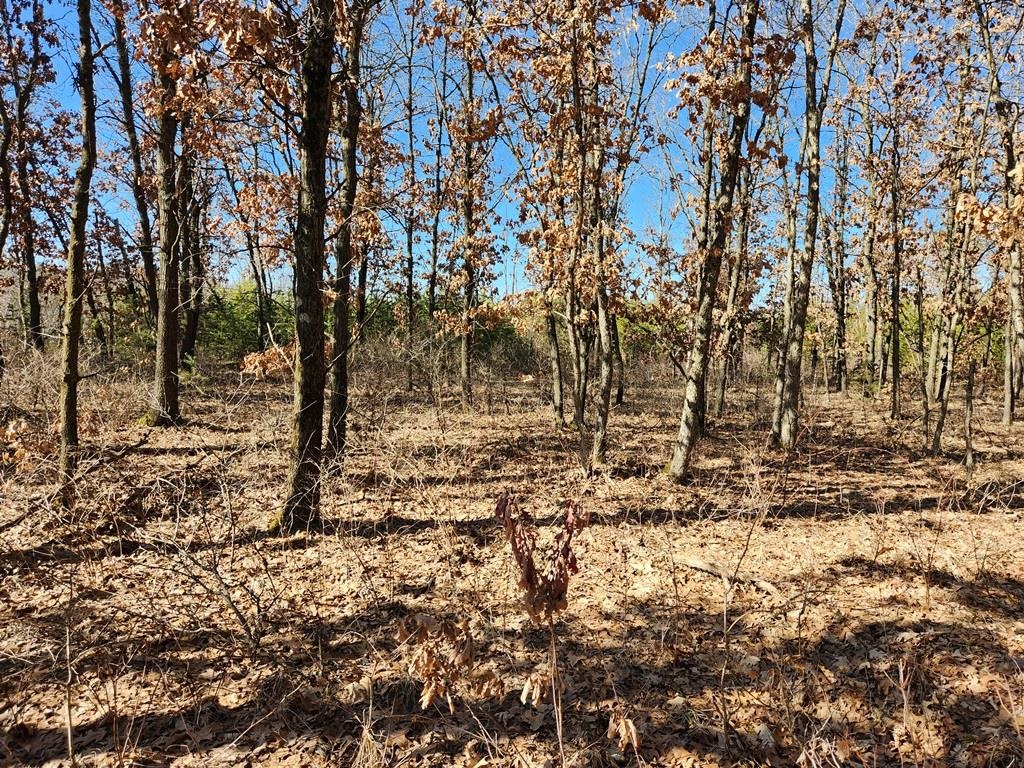 Koval Road Property Photo 3