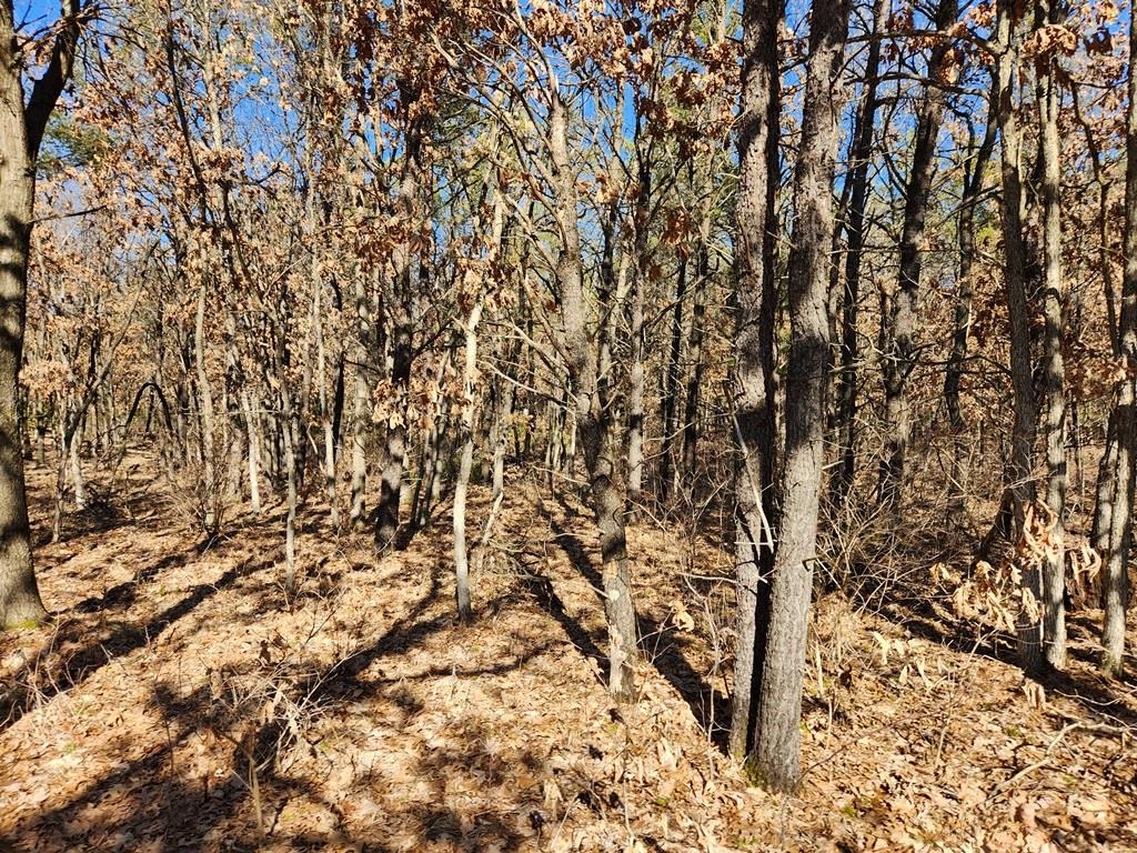 Koval Road Property Photo 4