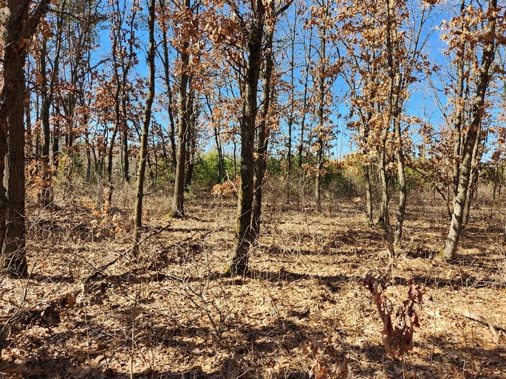 Koval Road Property Photo 5