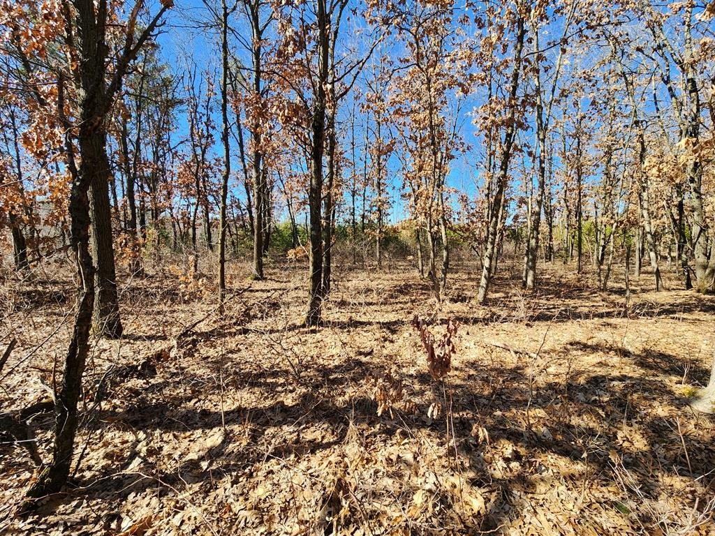 Koval Road Property Photo 6