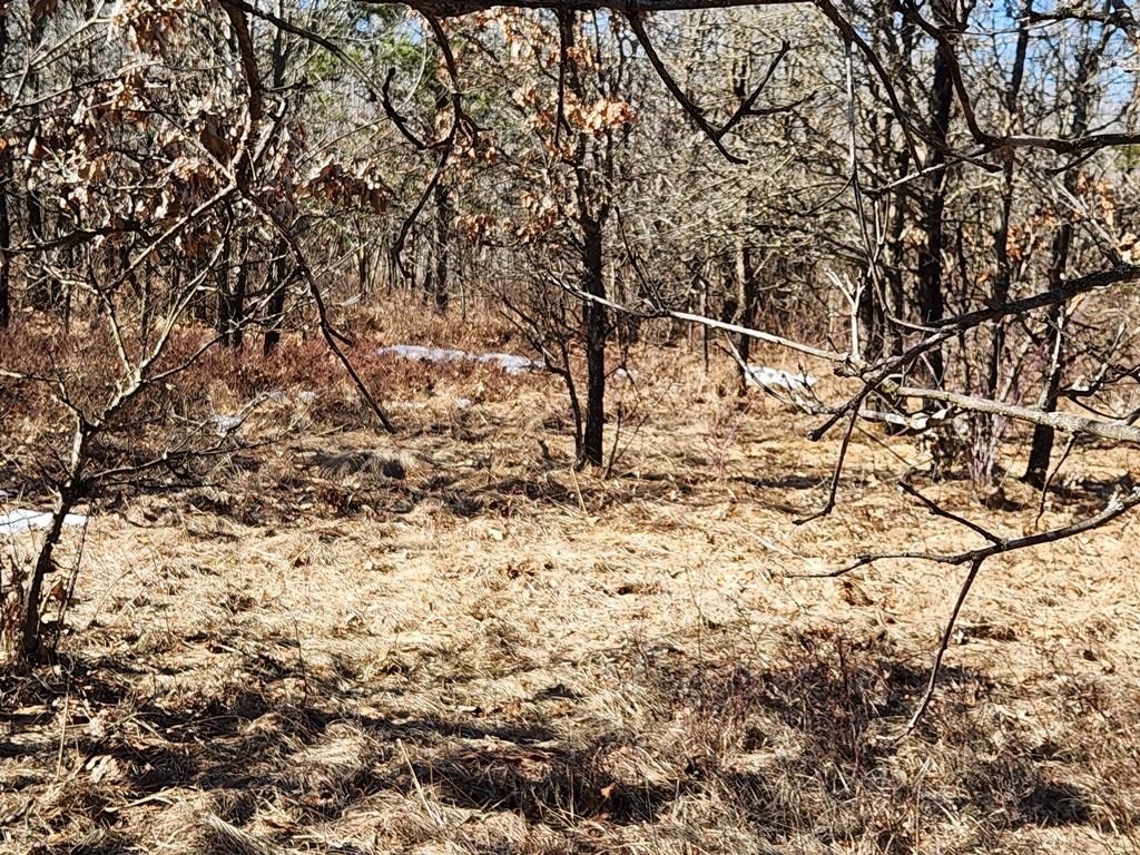 Koval Road Property Photo 7