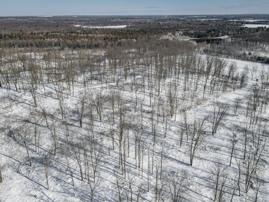 8.39 Acres Maszk Road Property Photo