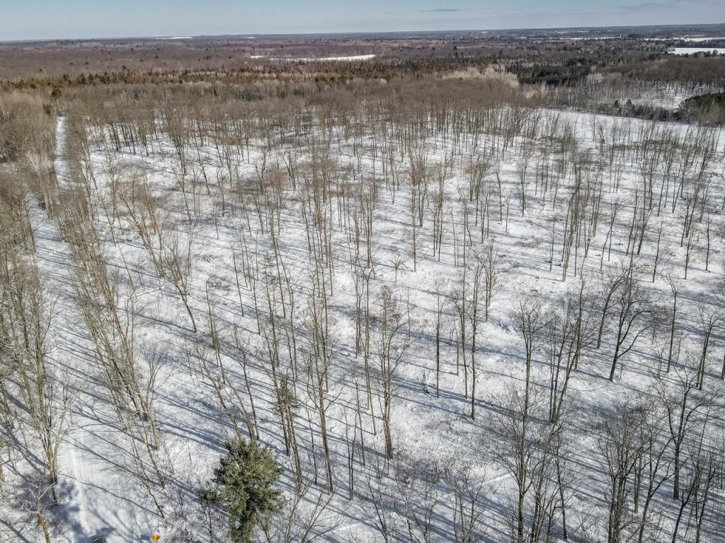 10.63 Acres Plover River Road Property Photo