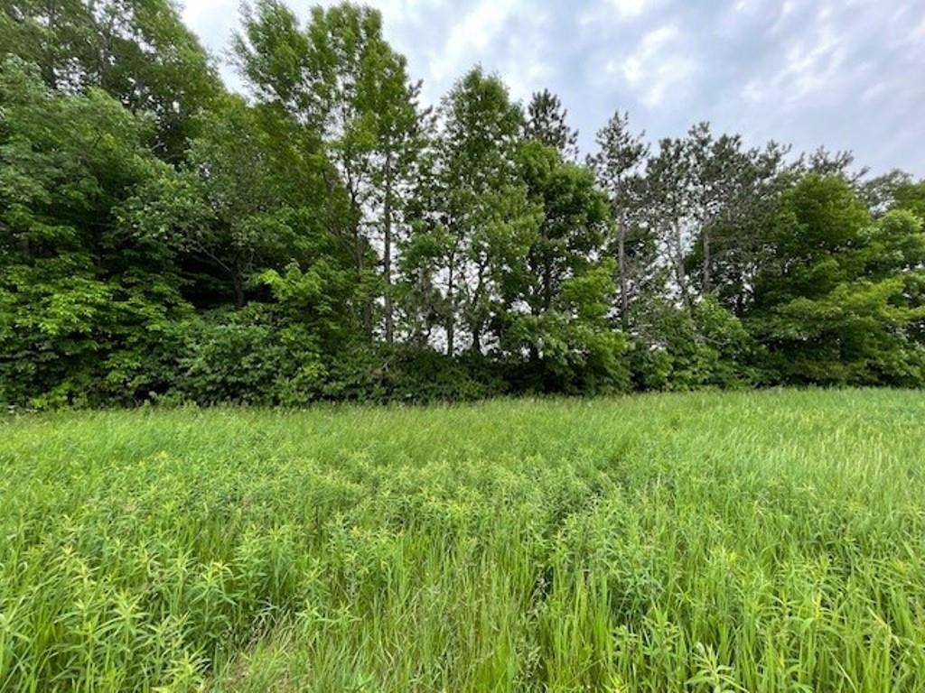 1509 Bent Stick Drive Property Photo 4