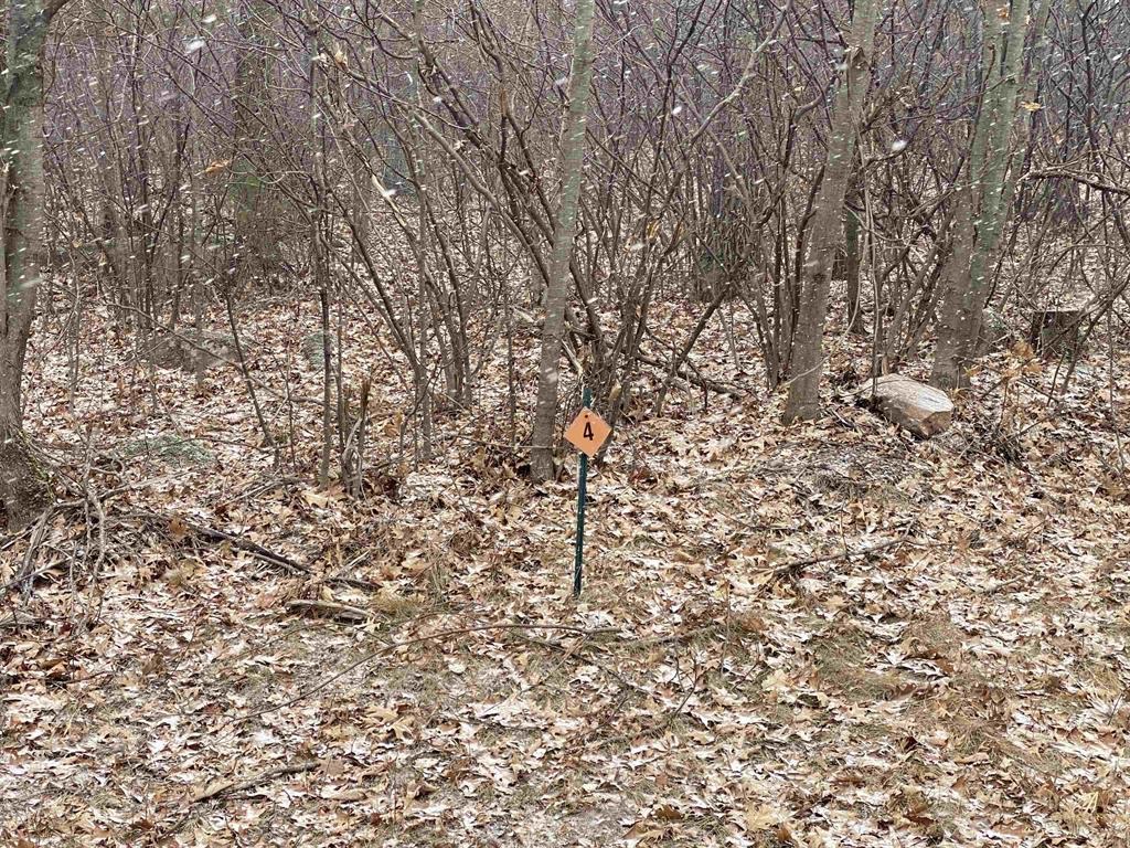 Lot 4 Acorn Ridge Road Property Photo