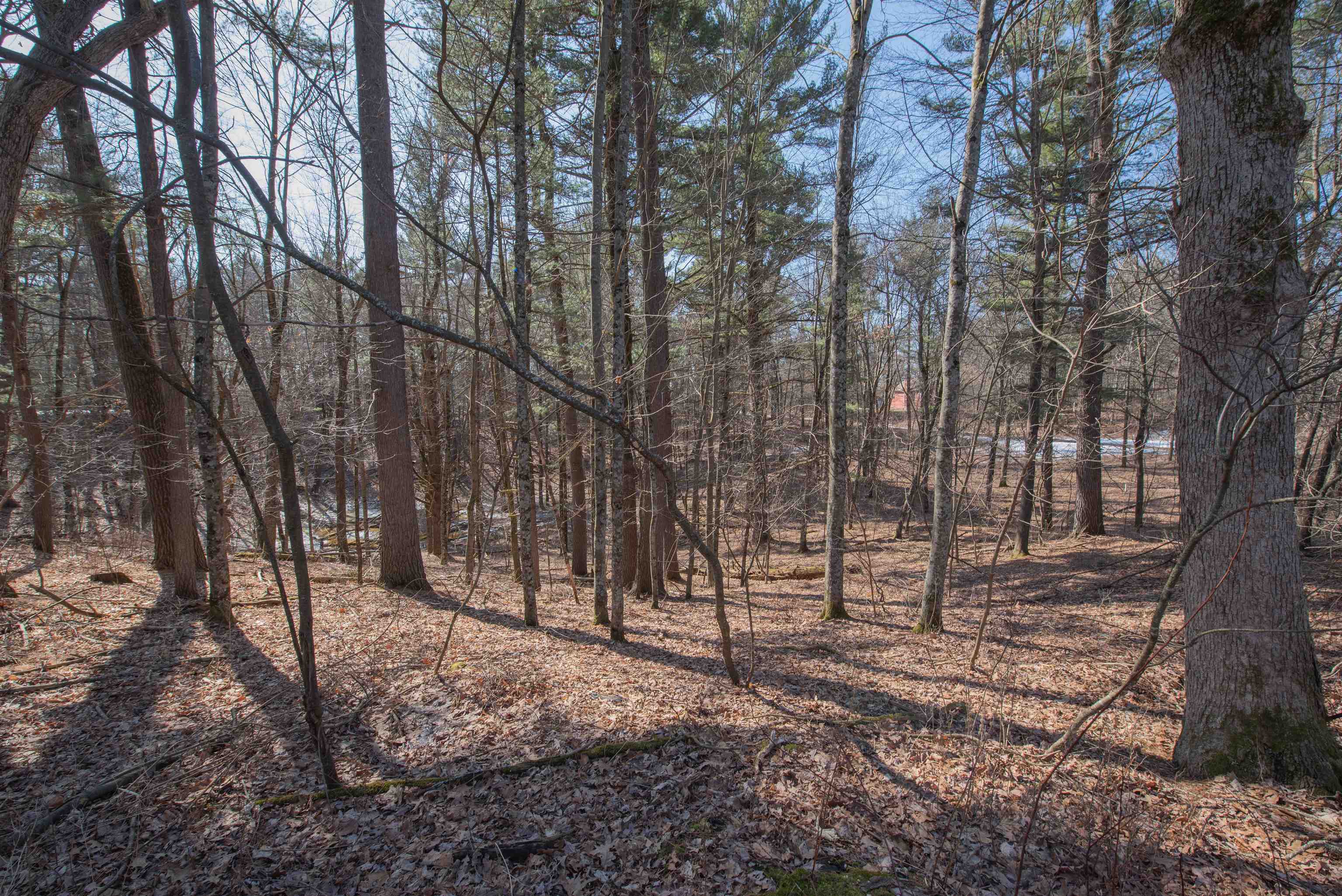 10456 Trout Creek Road Property Photo 23