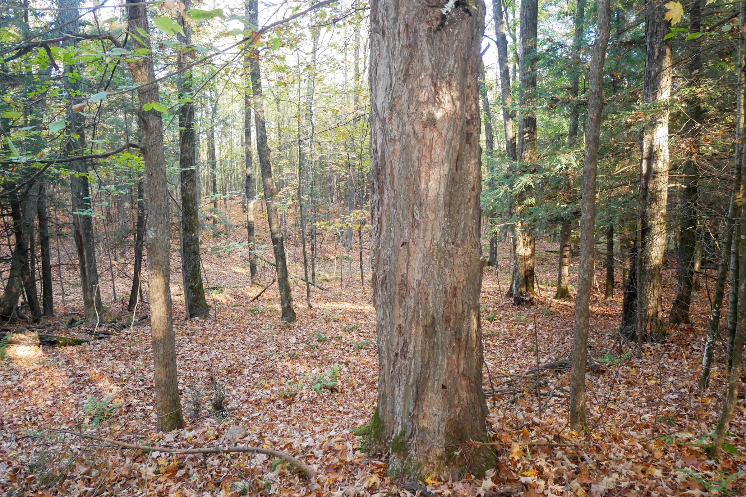 N5317 County Road E Property Photo 6
