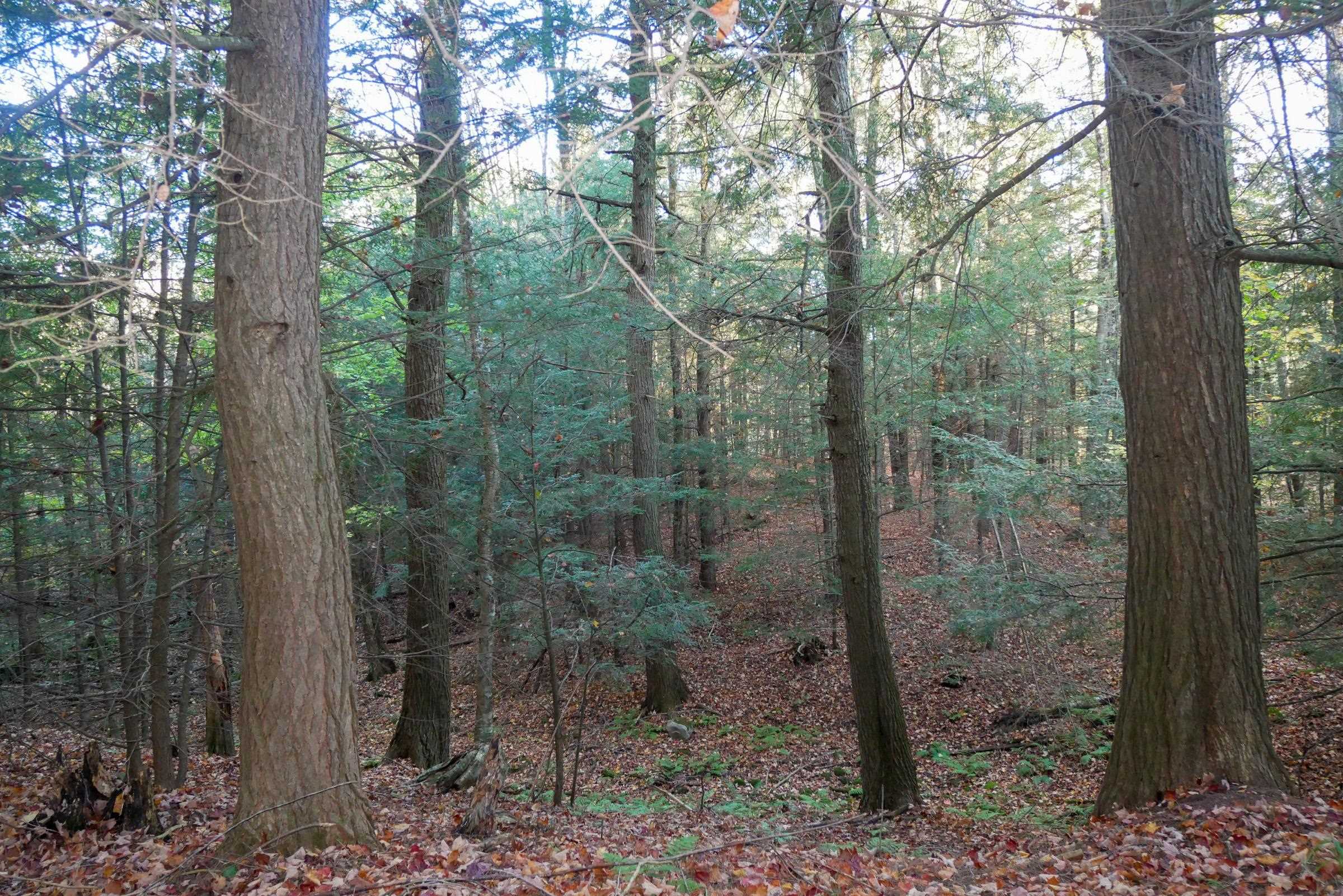 N5317 County Road E Property Photo 10