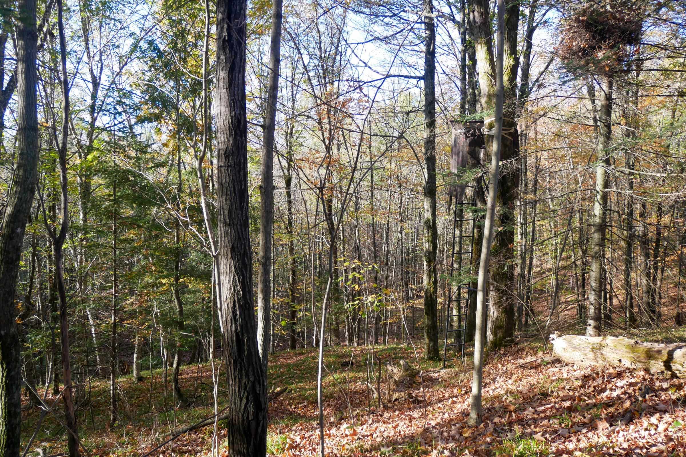N5317 County Road E Property Photo 12