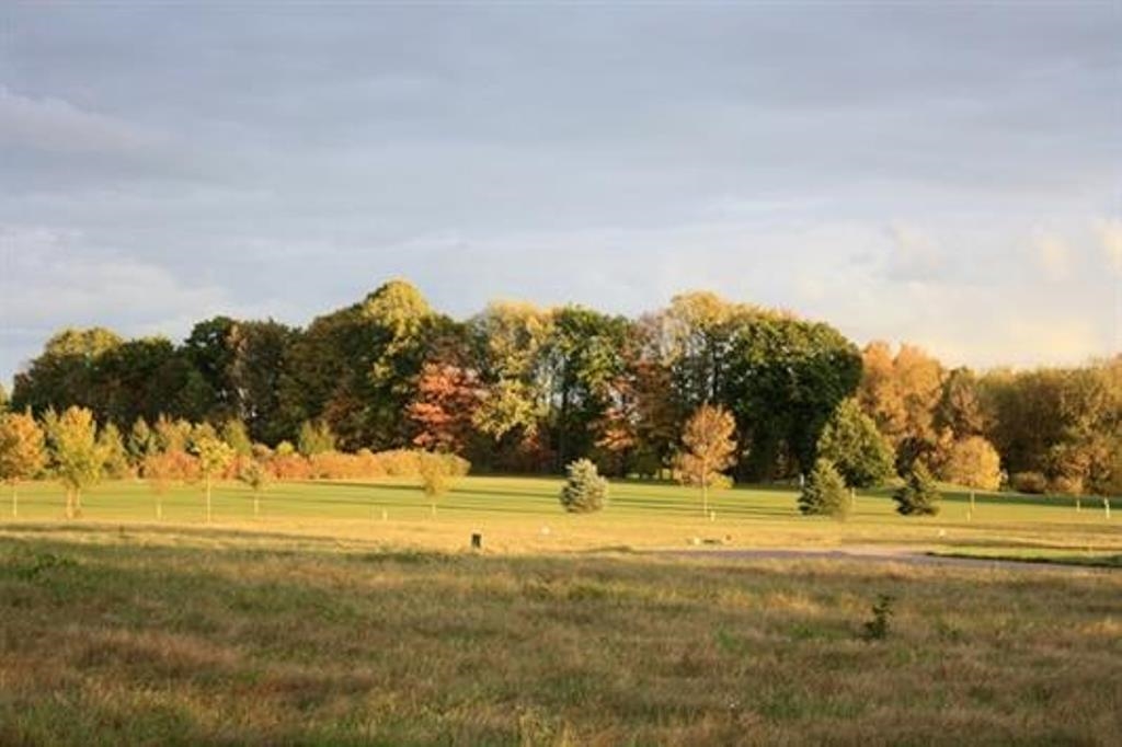 1301 Bent Stick Drive Property Photo 9