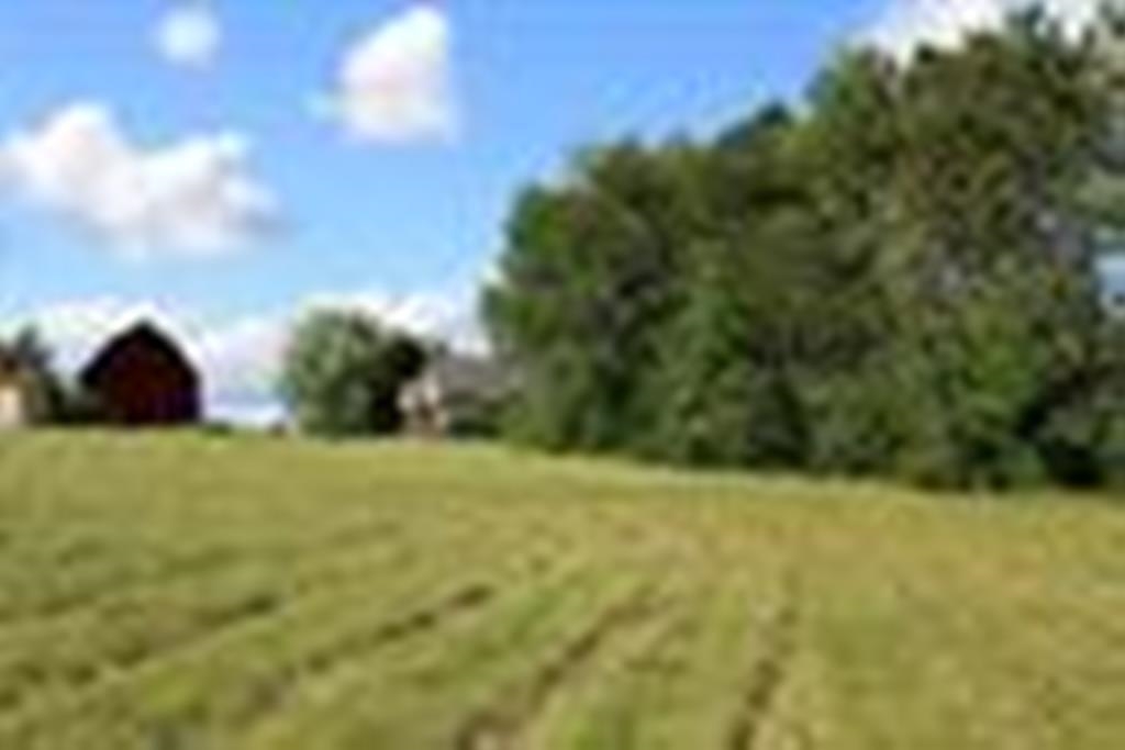 1305 Bent Stick Drive Property Photo 7