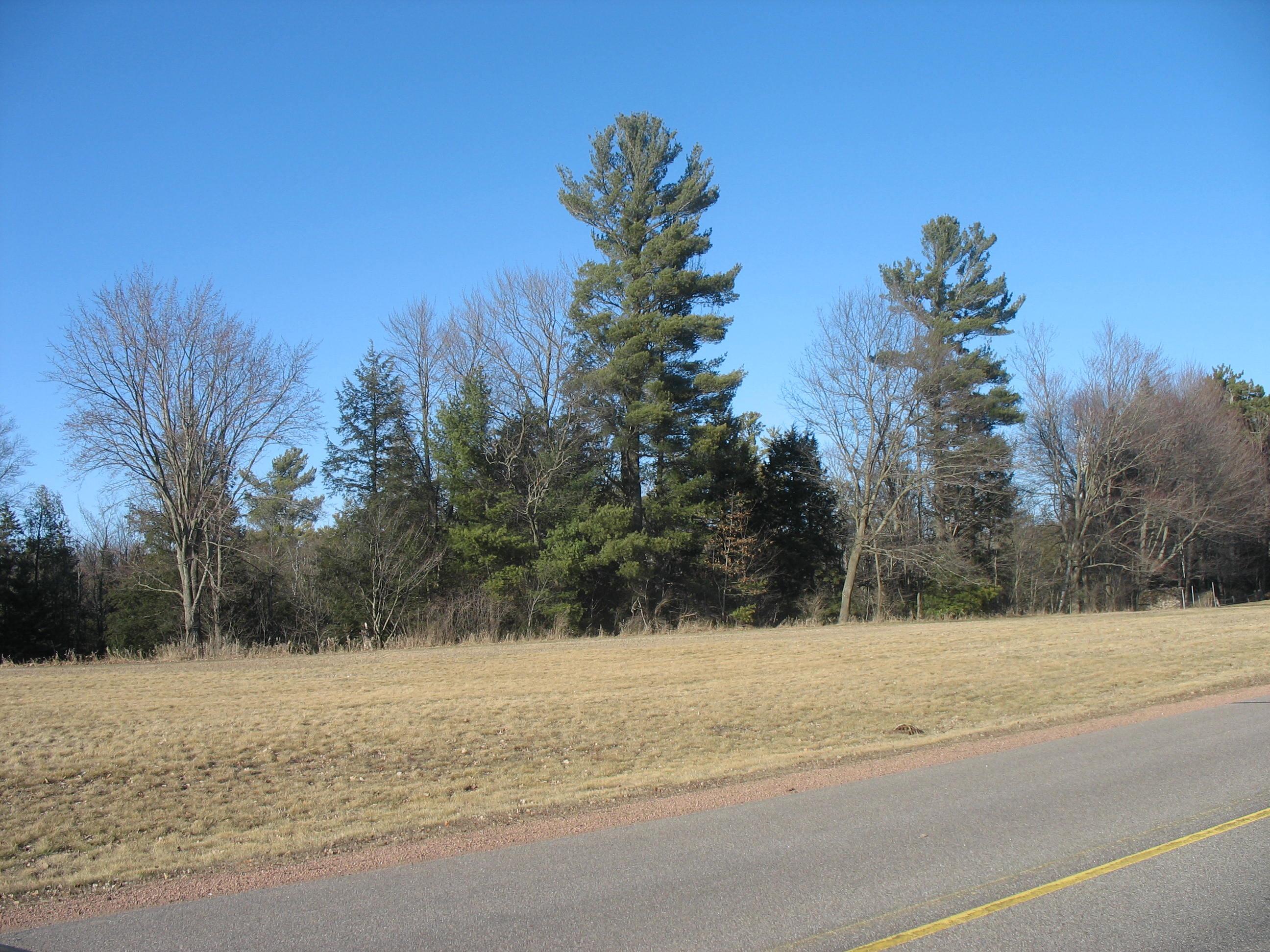 12.09 Acres Callon Avenue Property Photo 2