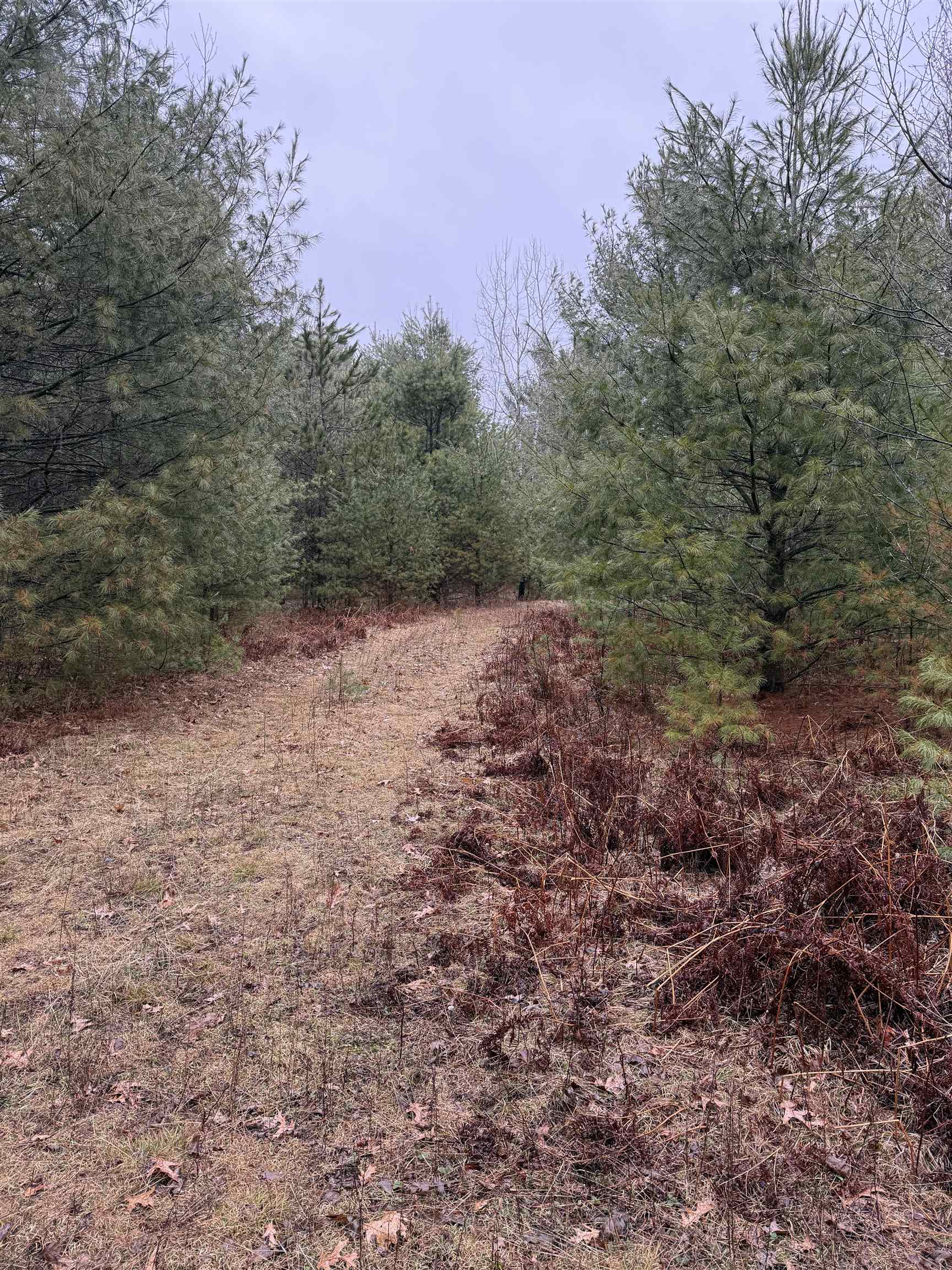 Lot 4 N 12th Avenue Property Photo 5