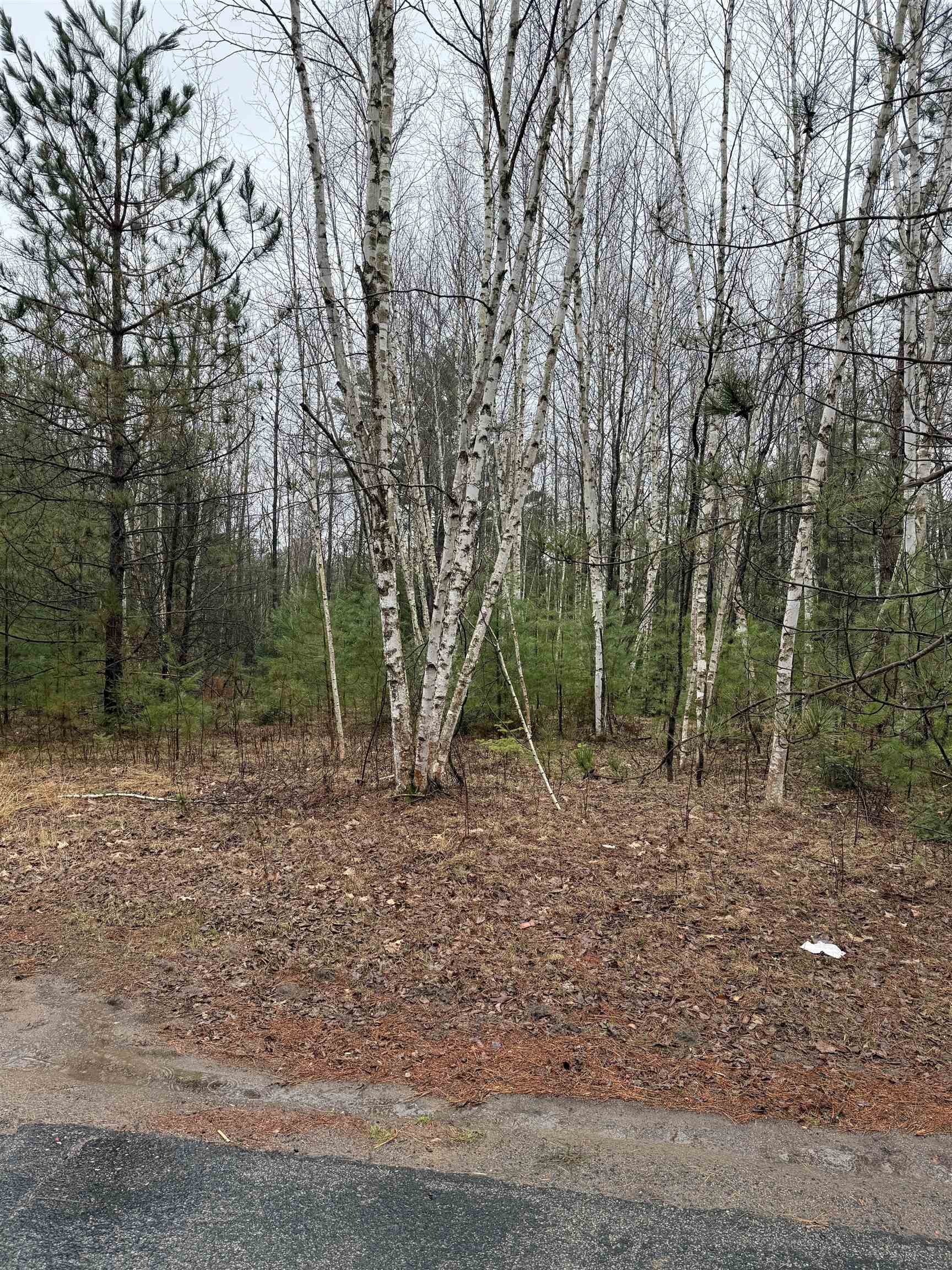 Lot 1 Naugart Drive Property Photo 6