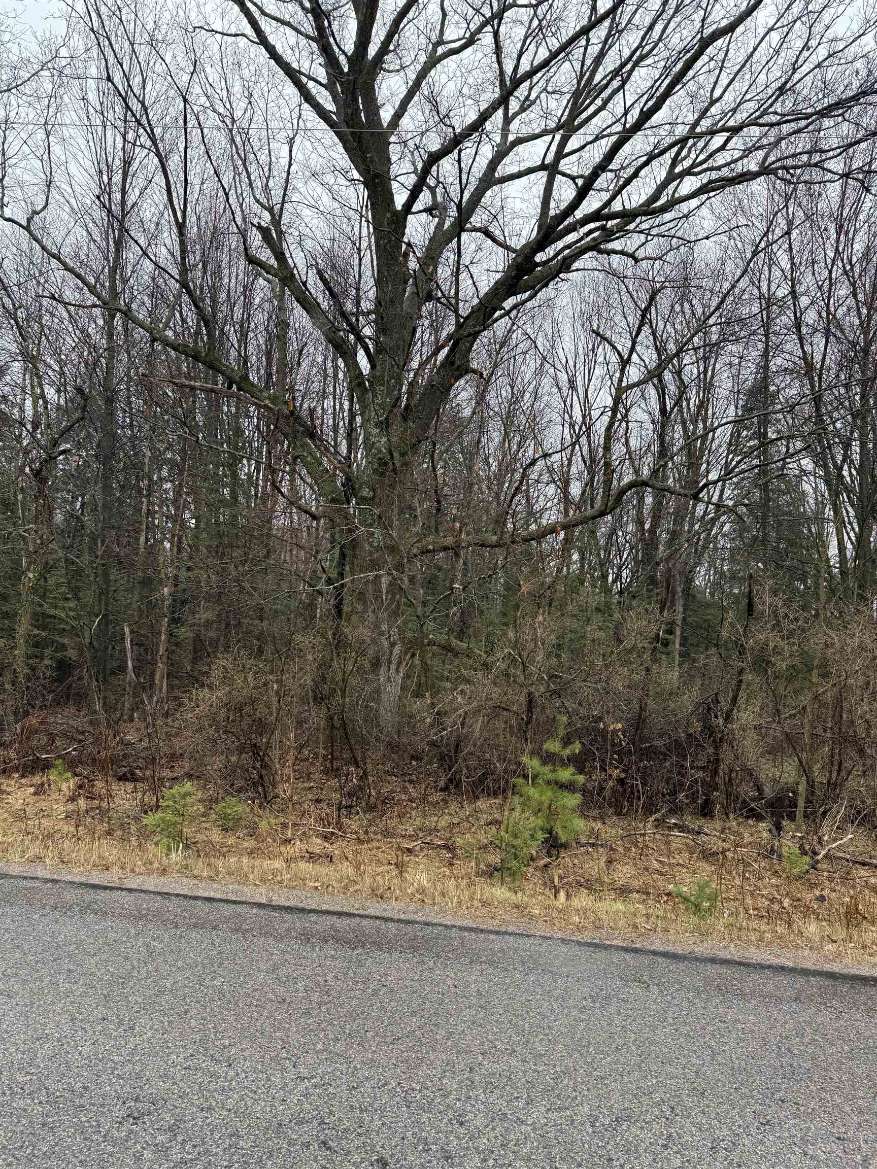 Lot 1 Naugart Drive Property Photo 7
